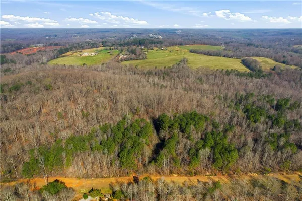 a view of a dry yard
