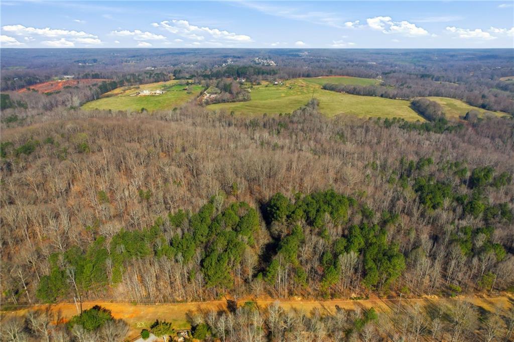 99012 Martin Road Talmo, GA 30575 - Photo 35 of 40 a view of lake with green space