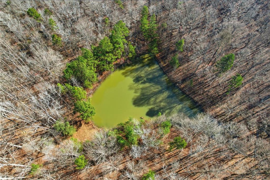 99012 Martin Road Talmo, GA 30575 - Photo 37 of 40 a view of a lake with a yard