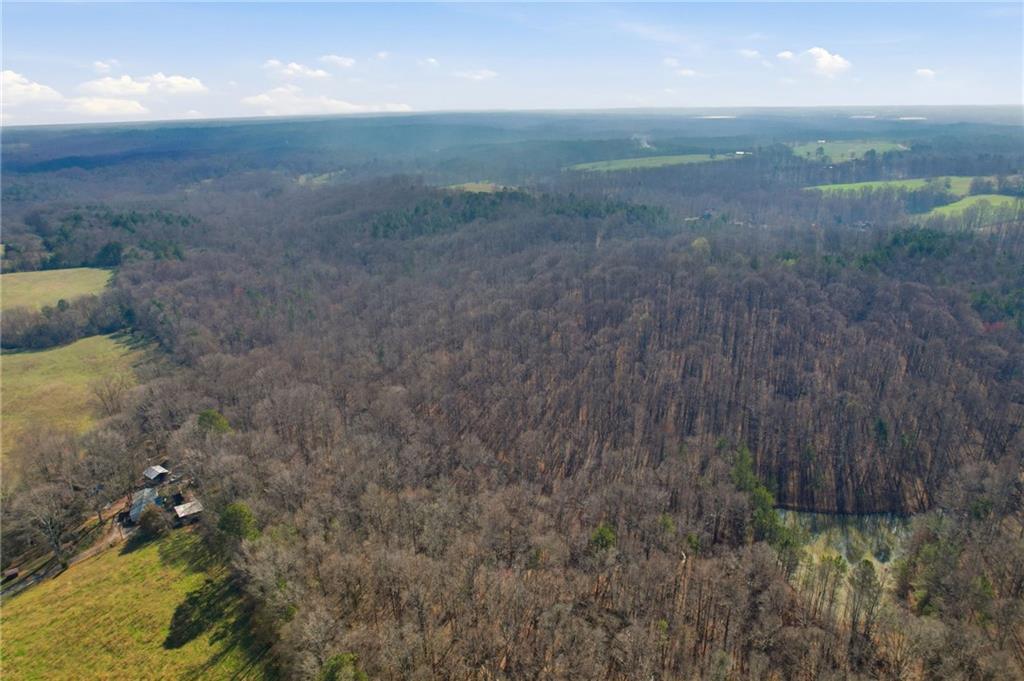 99012 Martin Road Talmo, GA 30575 - Photo 38 of 40 a view of a dry yard