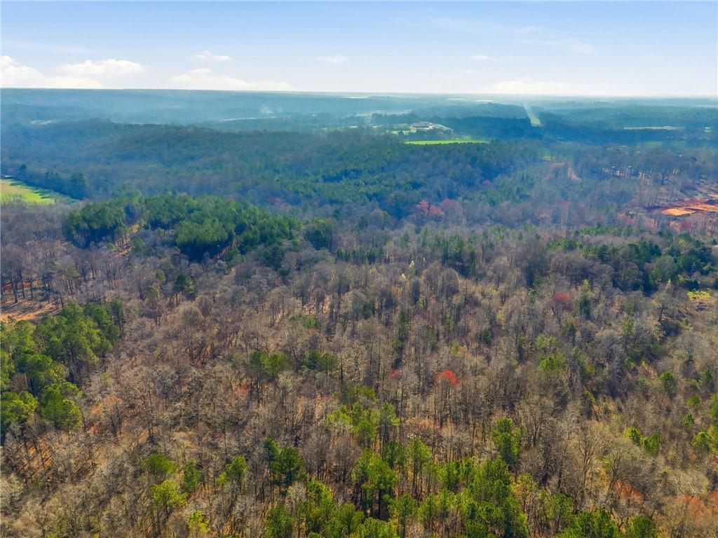 99012 Martin Road Talmo, GA 30575 - Photo 8 of 40 a view of a field with an trees