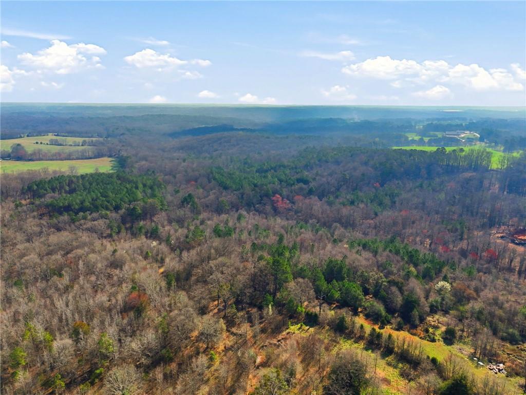 99012 Martin Road Talmo, GA 30575 - Photo 9 of 40 a view of a big yard with lots of green space