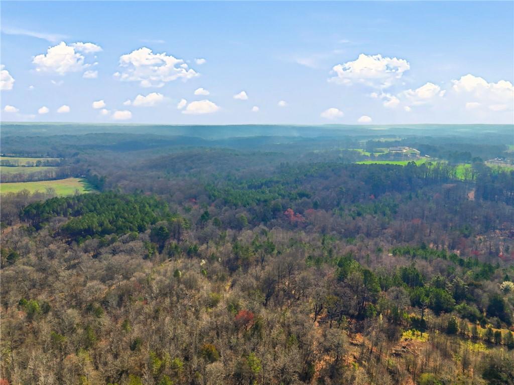 99012 Martin Road Talmo, GA 30575 - Photo 10 of 40 a view of a field of grass and trees