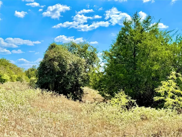 $729,900 | Tbd 50.62-acres Tbd 50.62-acres Rabel Road, Rosanky, TX 78953