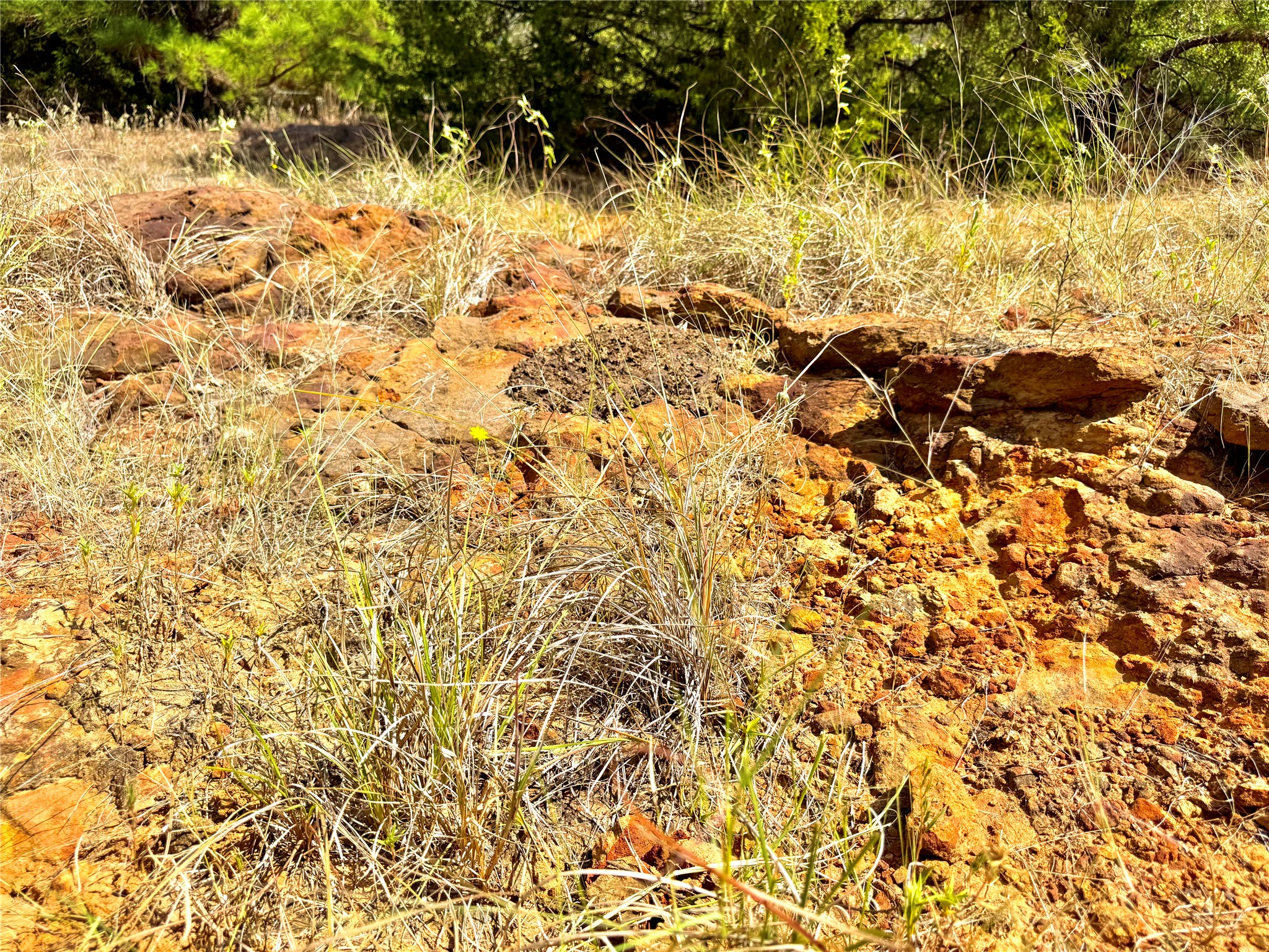 Tbd 50.62-acres Tbd 50.62-acres Rabel Road Rosanky, TX 78953 - Photo 13 of 13 a view of a yard of a building