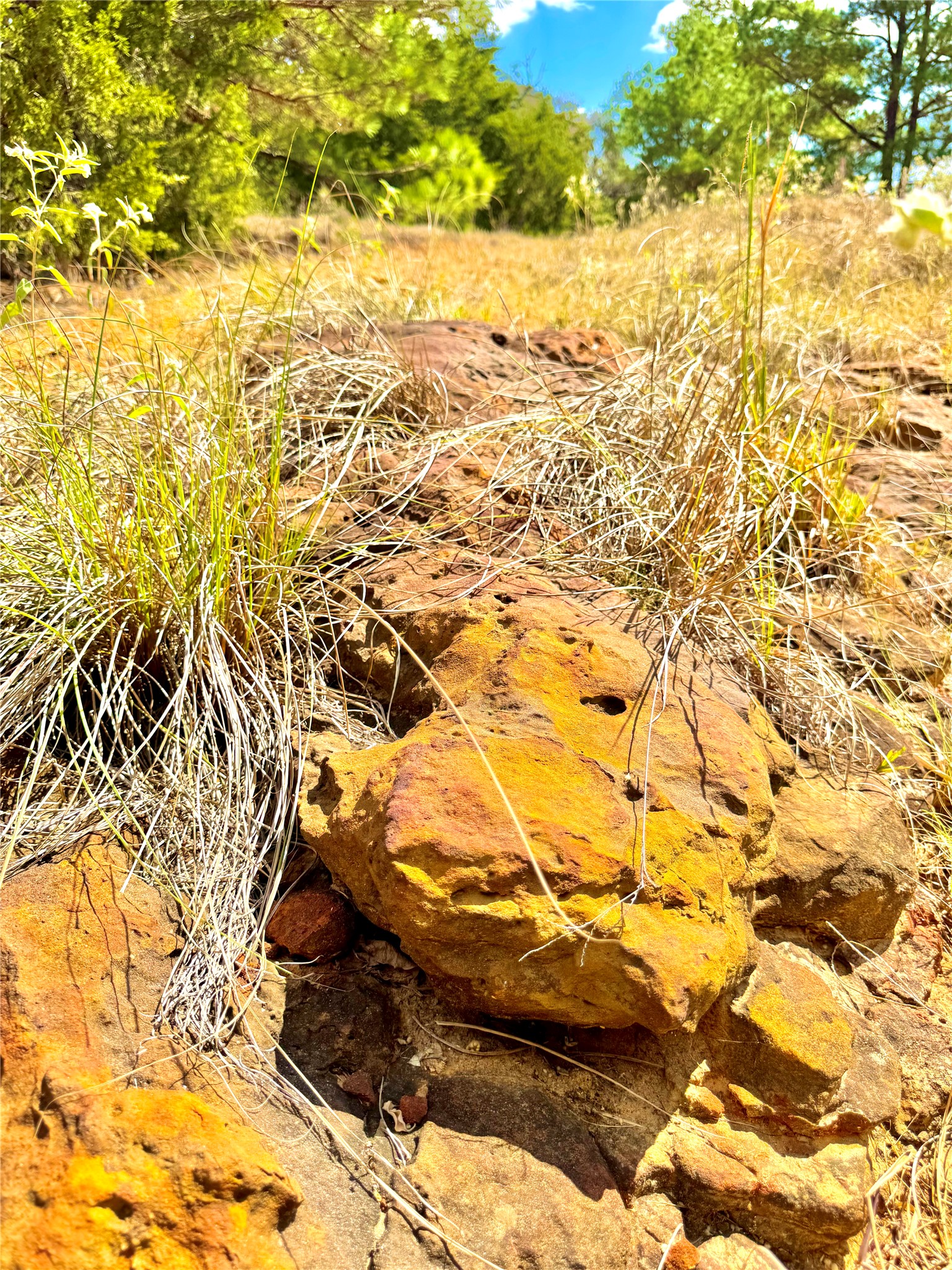 Tbd 50.62-acres Tbd 50.62-acres Rabel Road Rosanky, TX 78953 - Photo 2 of 13 a view of a yard
