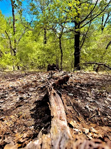 $729,900 | Tbd 50.62-acres Tbd 50.62-acres Rabel Road, Rosanky, TX 78953