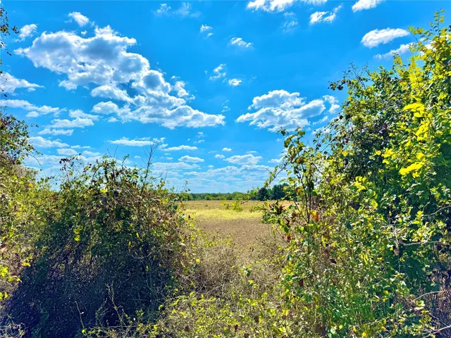 $729,900 | Tbd 50.62-acres Tbd 50.62-acres Rabel Road, Rosanky, TX 78953