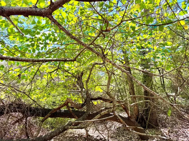 $729,900 | Tbd 50.62-acres Tbd 50.62-acres Rabel Road, Rosanky, TX 78953