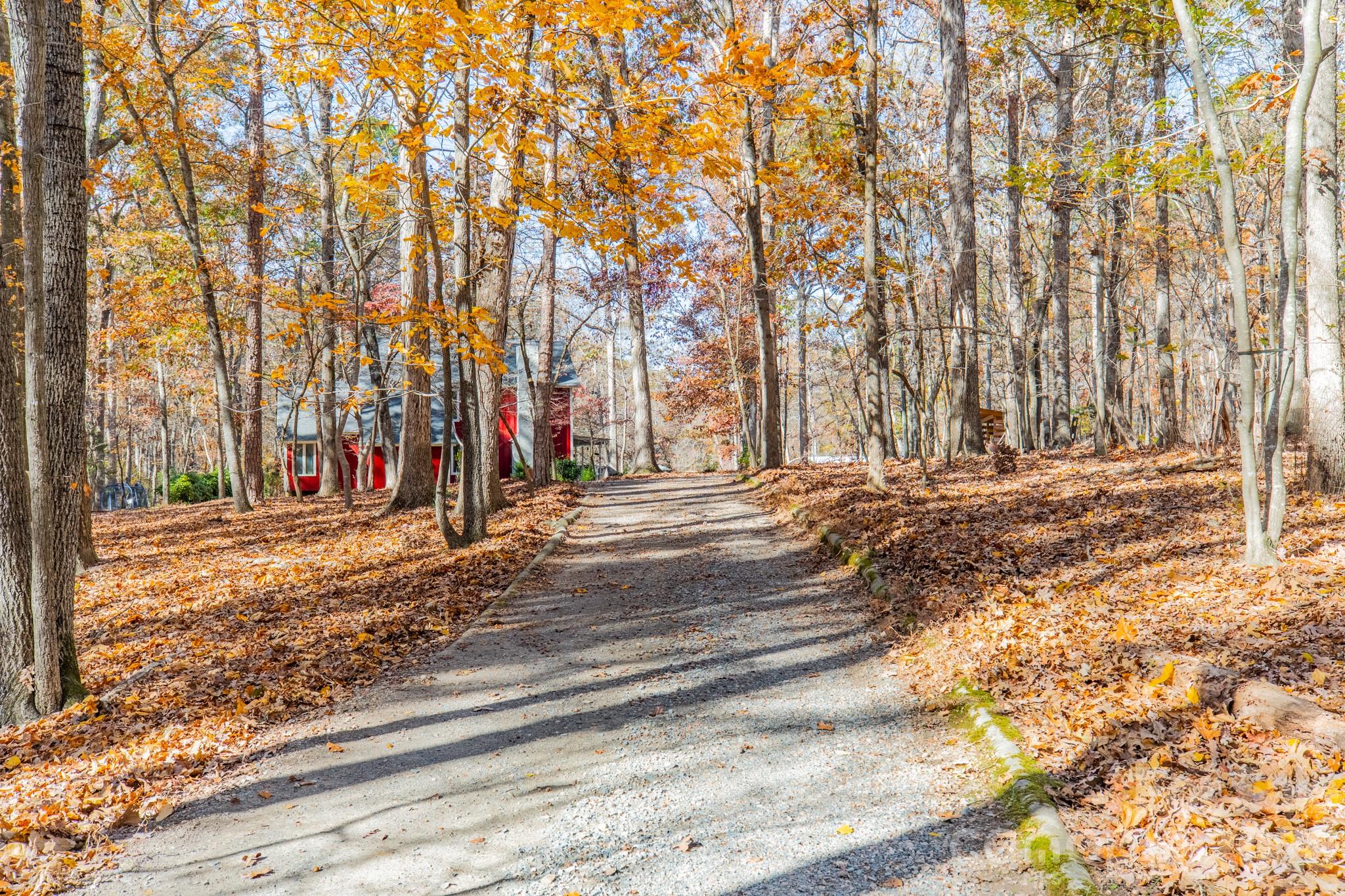 6524 The Little Road Waxhaw, NC 28173 - Photo 15 of 25 a backyard of a house with trees