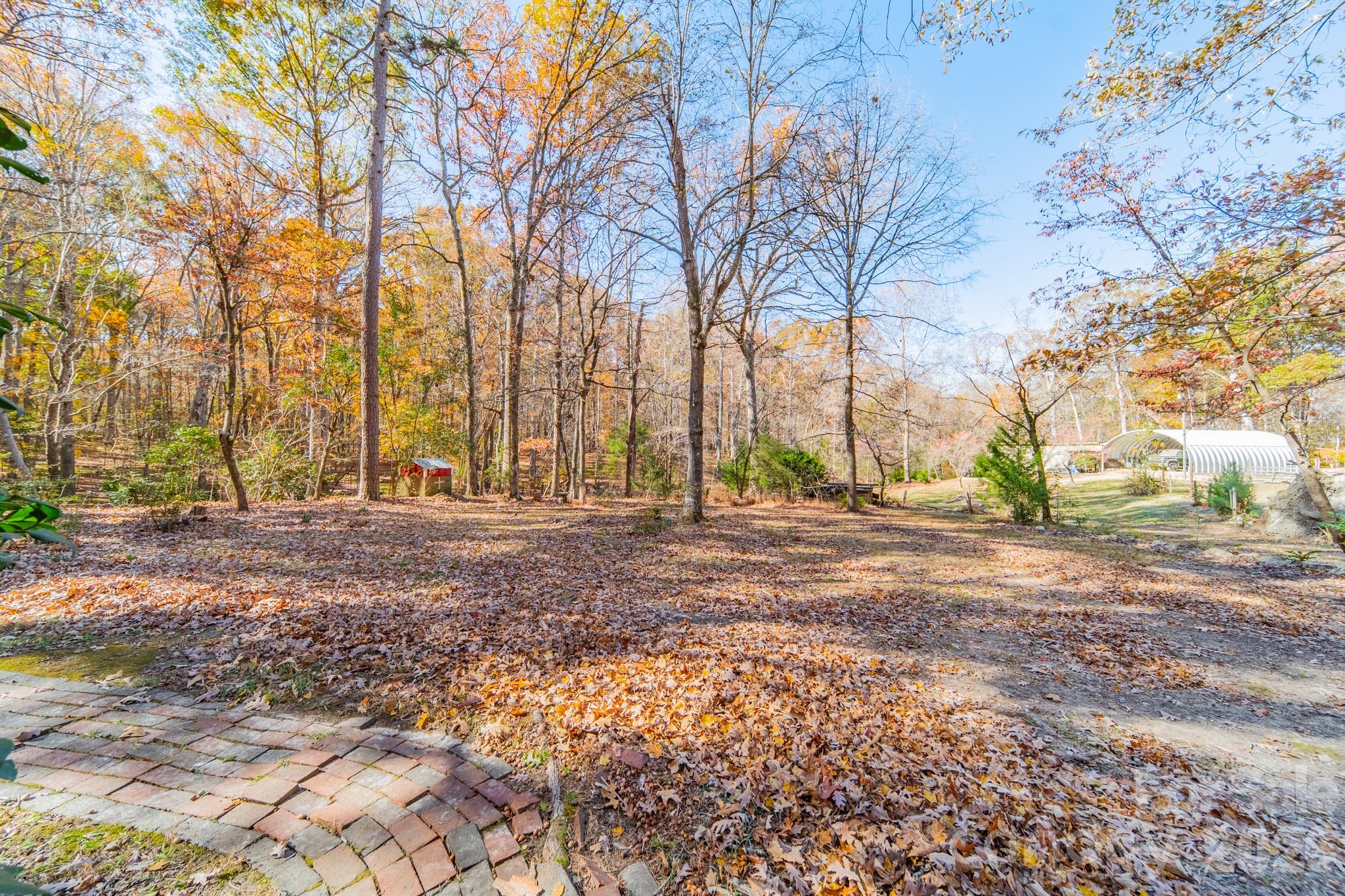 6524 The Little Road Waxhaw, NC 28173 - Photo 16 of 25 a view of road with trees