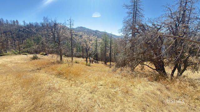 4351 Saddle Springs Road Caliente, CA 93518 - Photo 15 of 15 Gallery Image 15