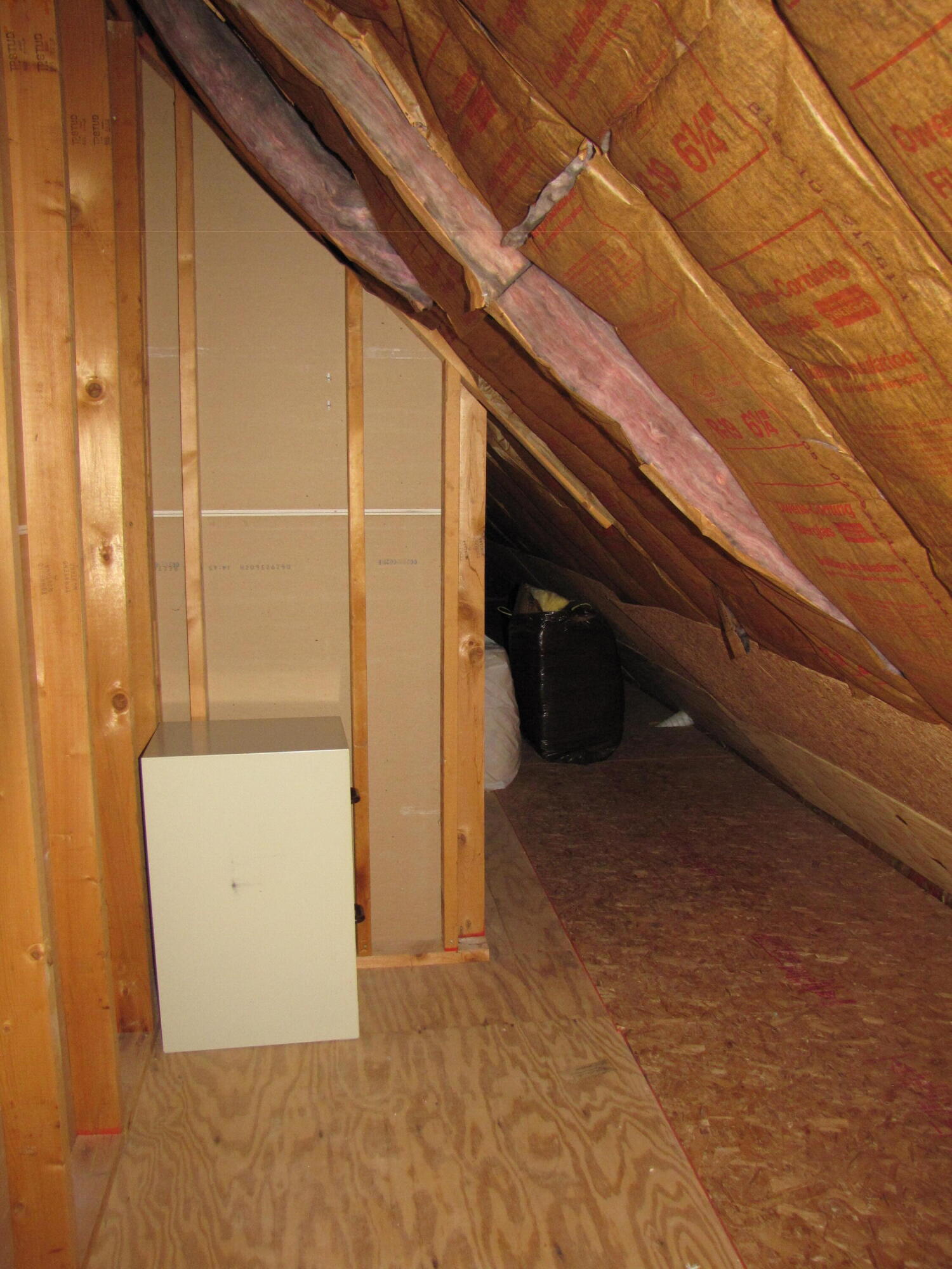 108 Sheldrake Court Georgetown, KY 40324 - Photo 87 of 87 Attic Storage