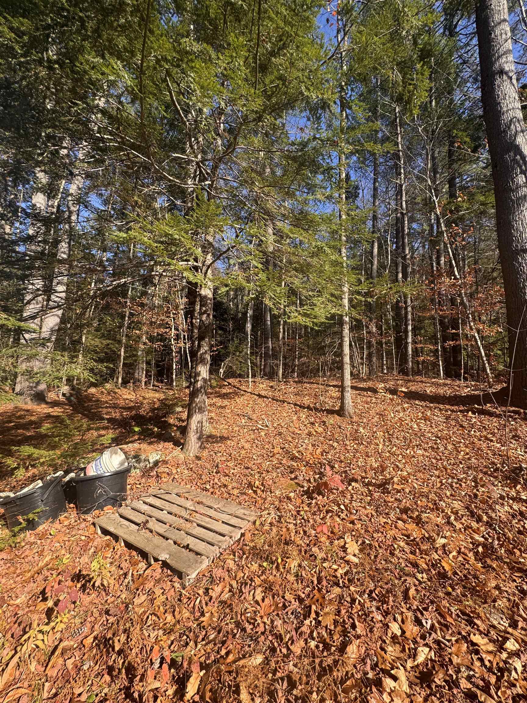 0 Newbury Road, Unit 4764534 Bradford, NH 03221 - Photo 1 of 5