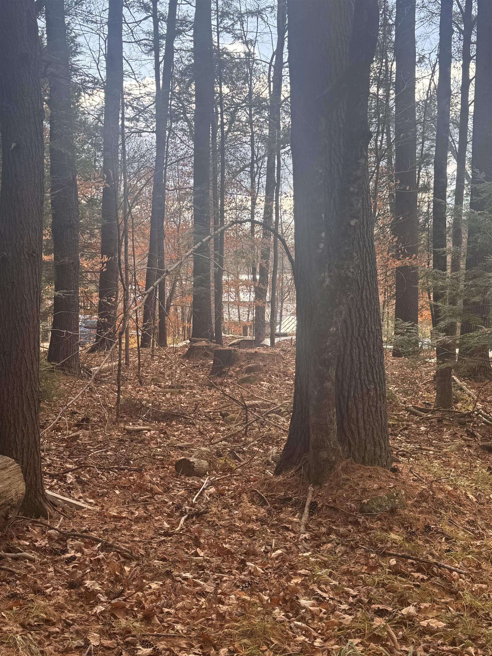 0 Newbury Road, Unit 4764534 Bradford, NH 03221 - Photo 4 of 5