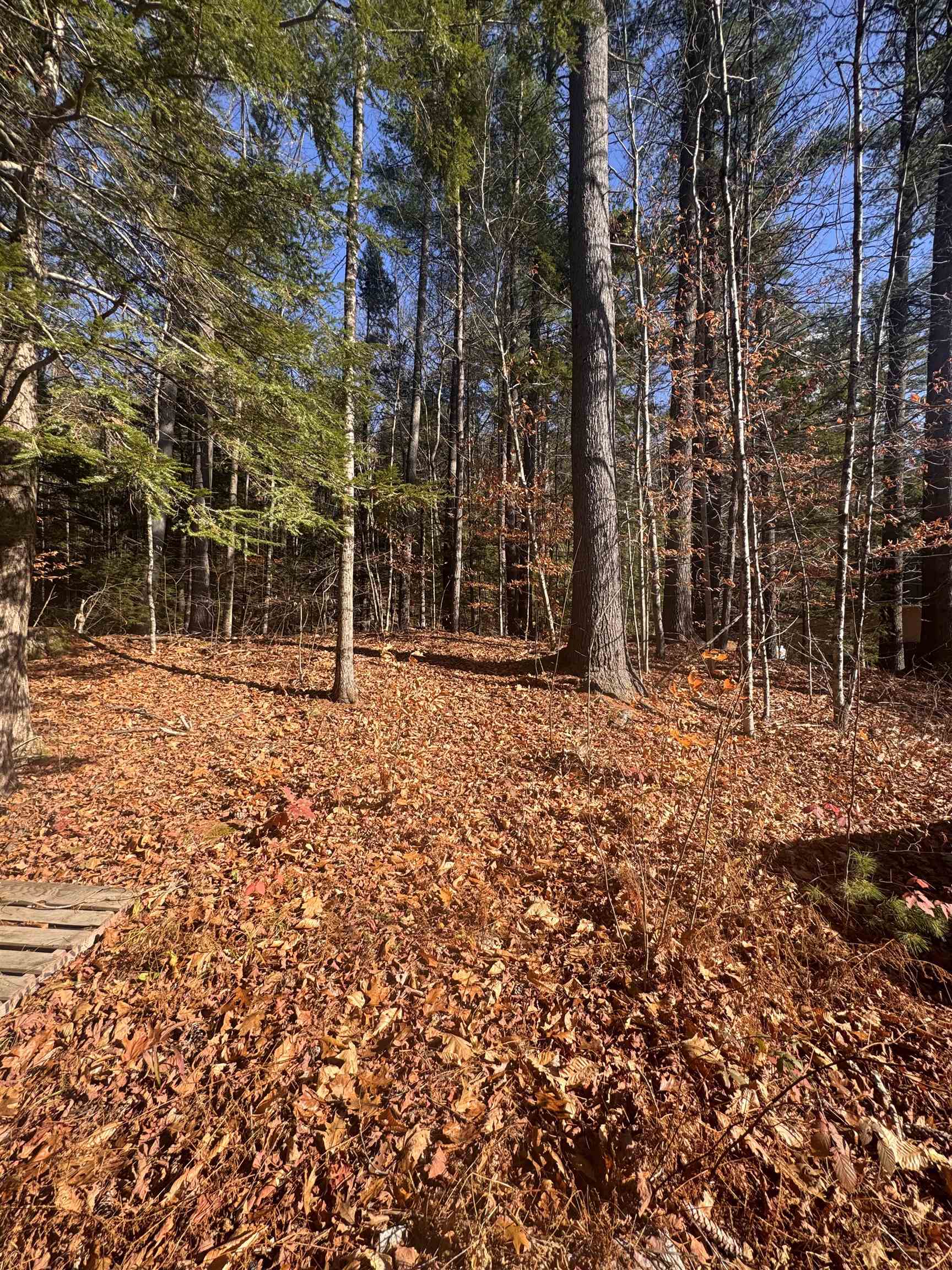 0 Newbury Road, Unit 4764534 Bradford, NH 03221 - Photo 5 of 5