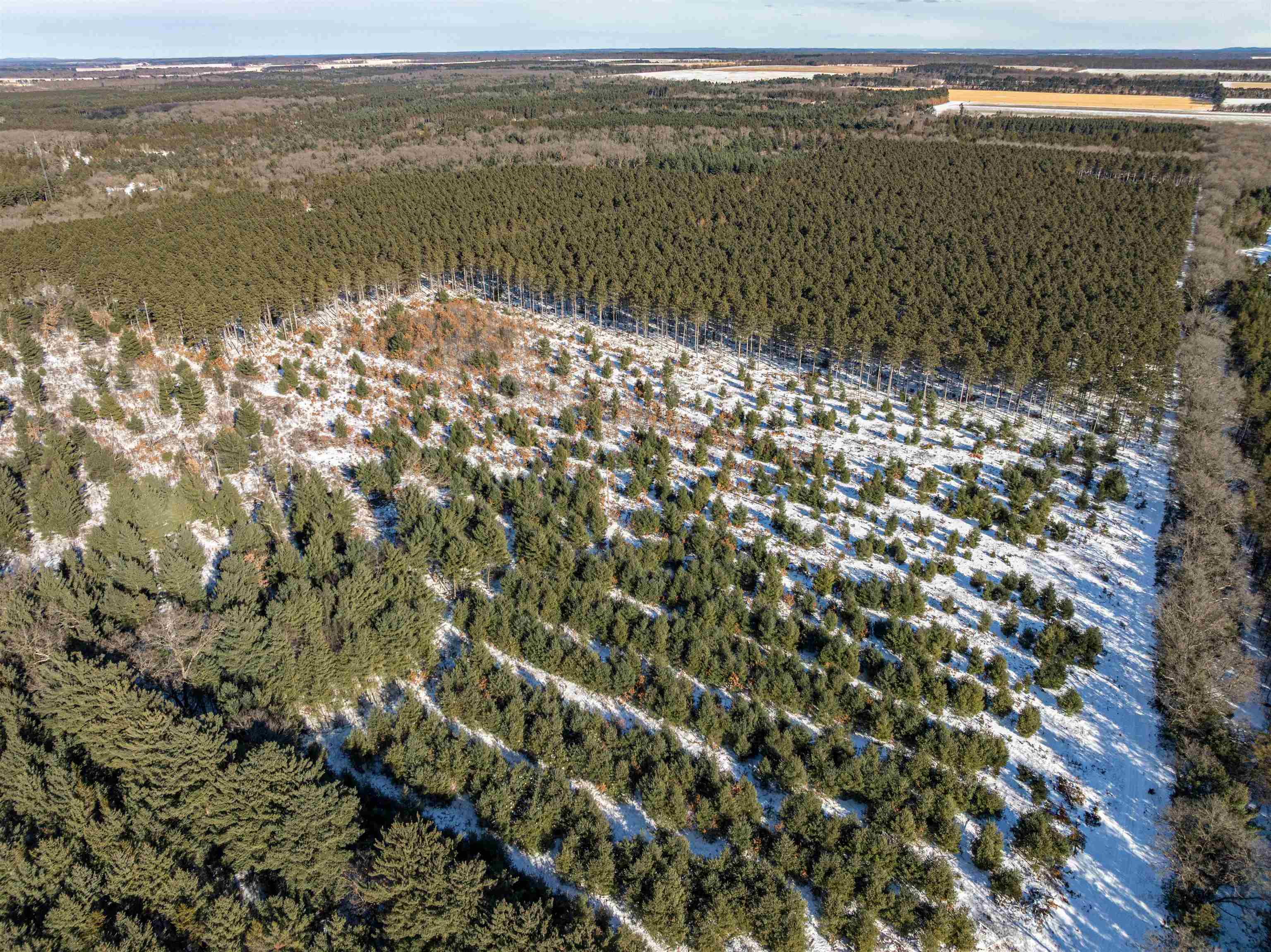 78.75-acres County Rd K Wisconsin Dells, WI 53965 - Photo 11 of 27