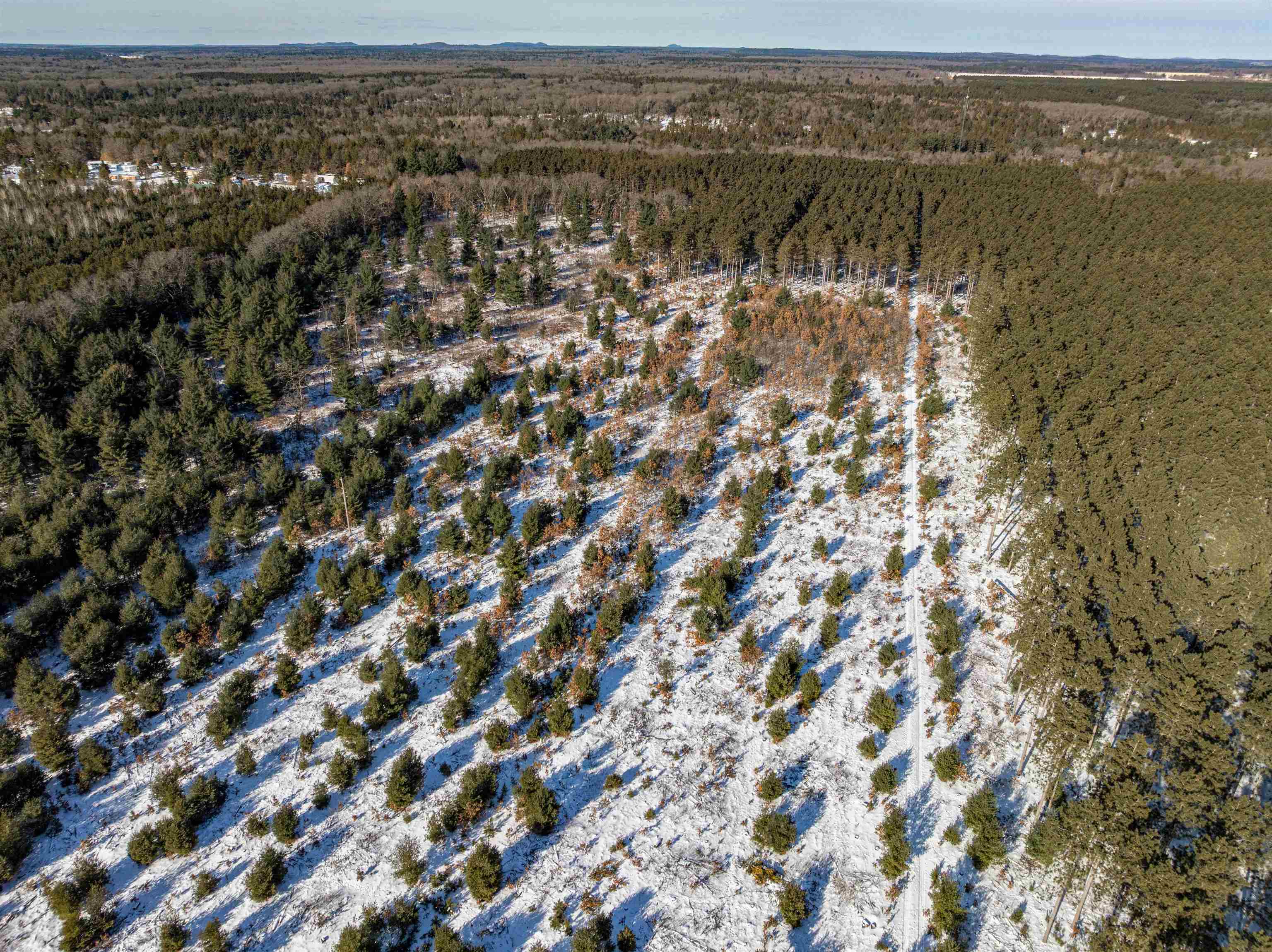 78.75-acres County Rd K Wisconsin Dells, WI 53965 - Photo 12 of 27
