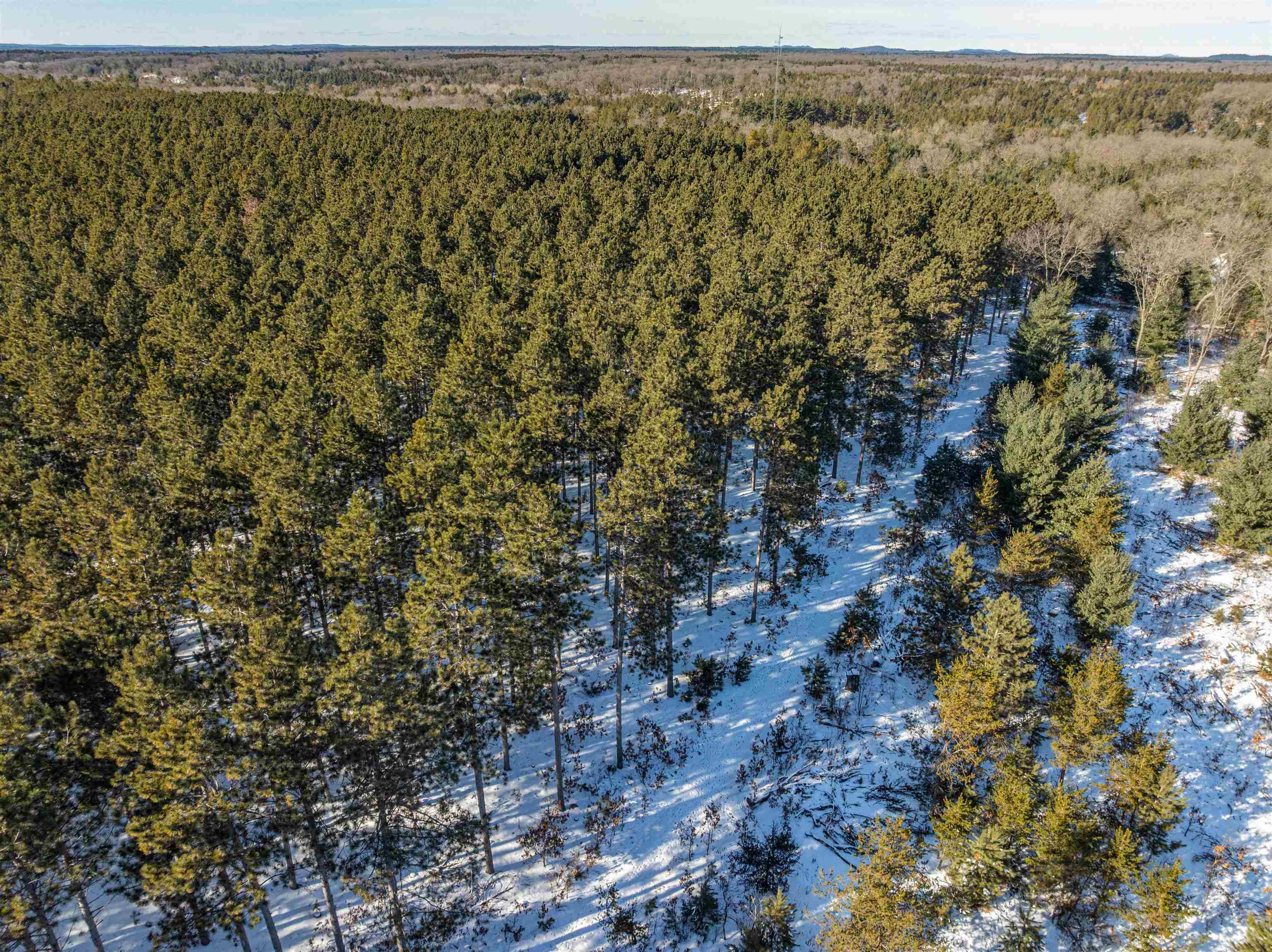 78.75-acres County Rd K Wisconsin Dells, WI 53965 - Photo 16 of 27