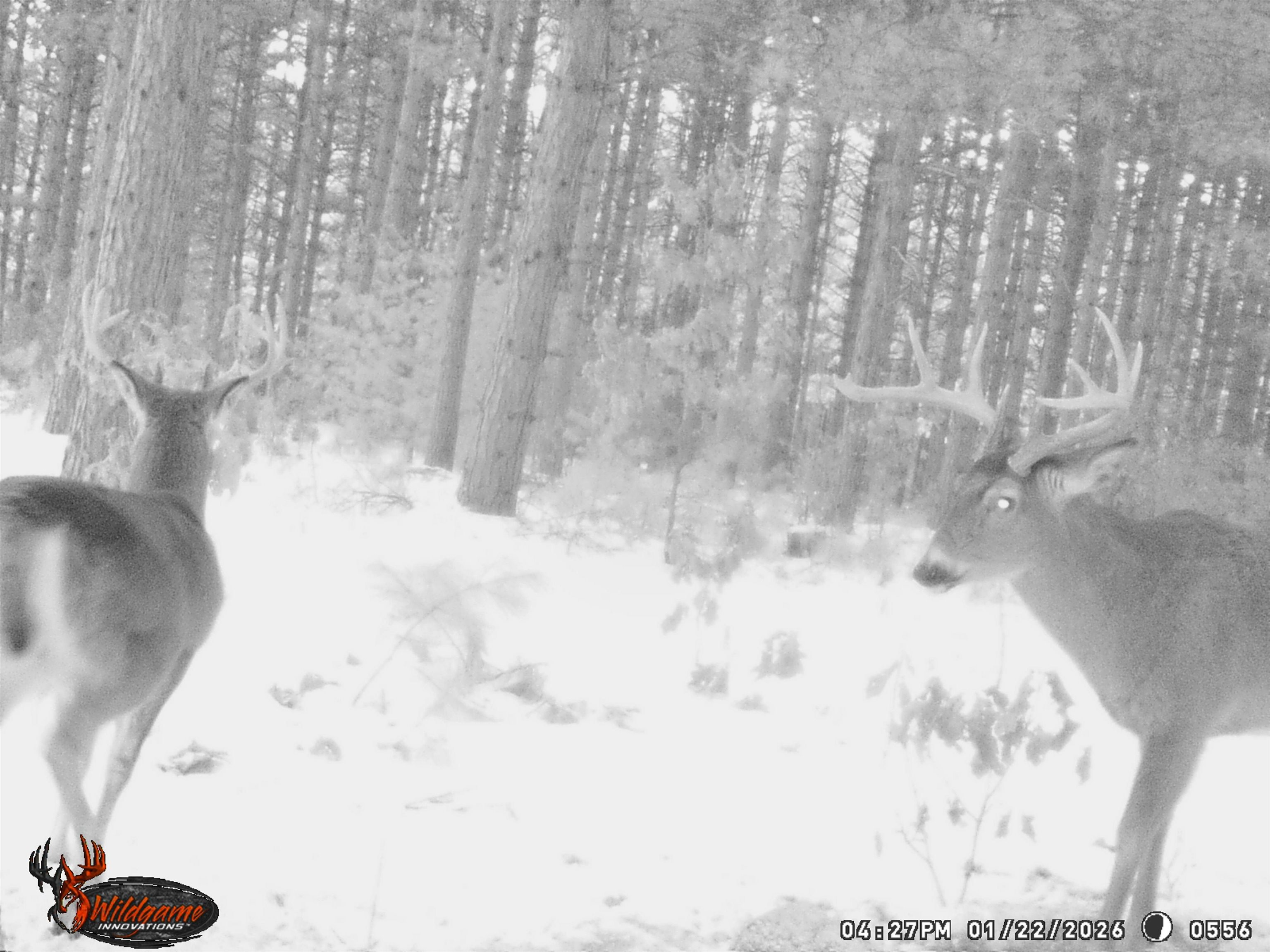 78.75-acres County Rd K Wisconsin Dells, WI 53965 - Photo 21 of 27