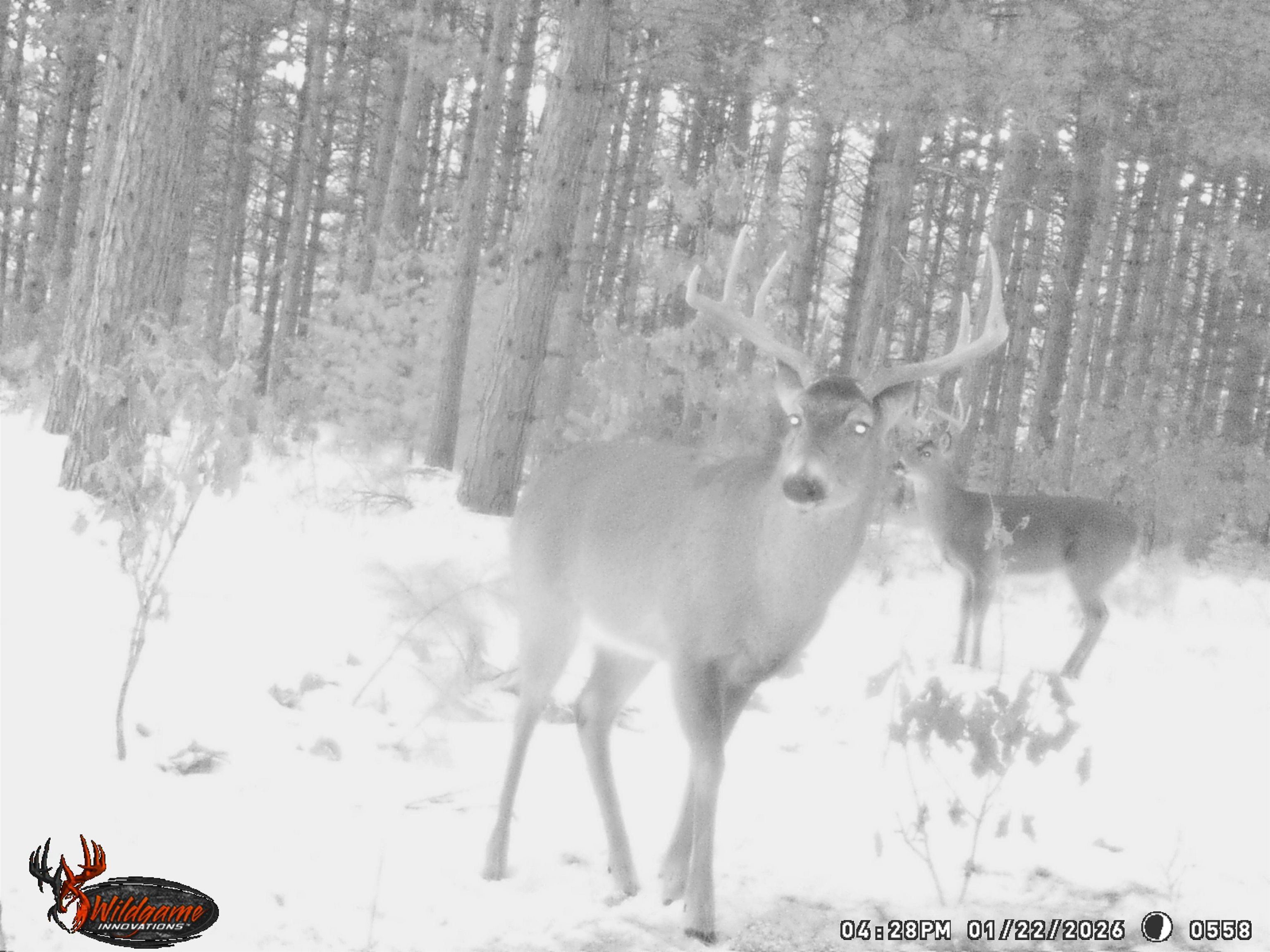 78.75-acres County Rd K Wisconsin Dells, WI 53965 - Photo 22 of 27