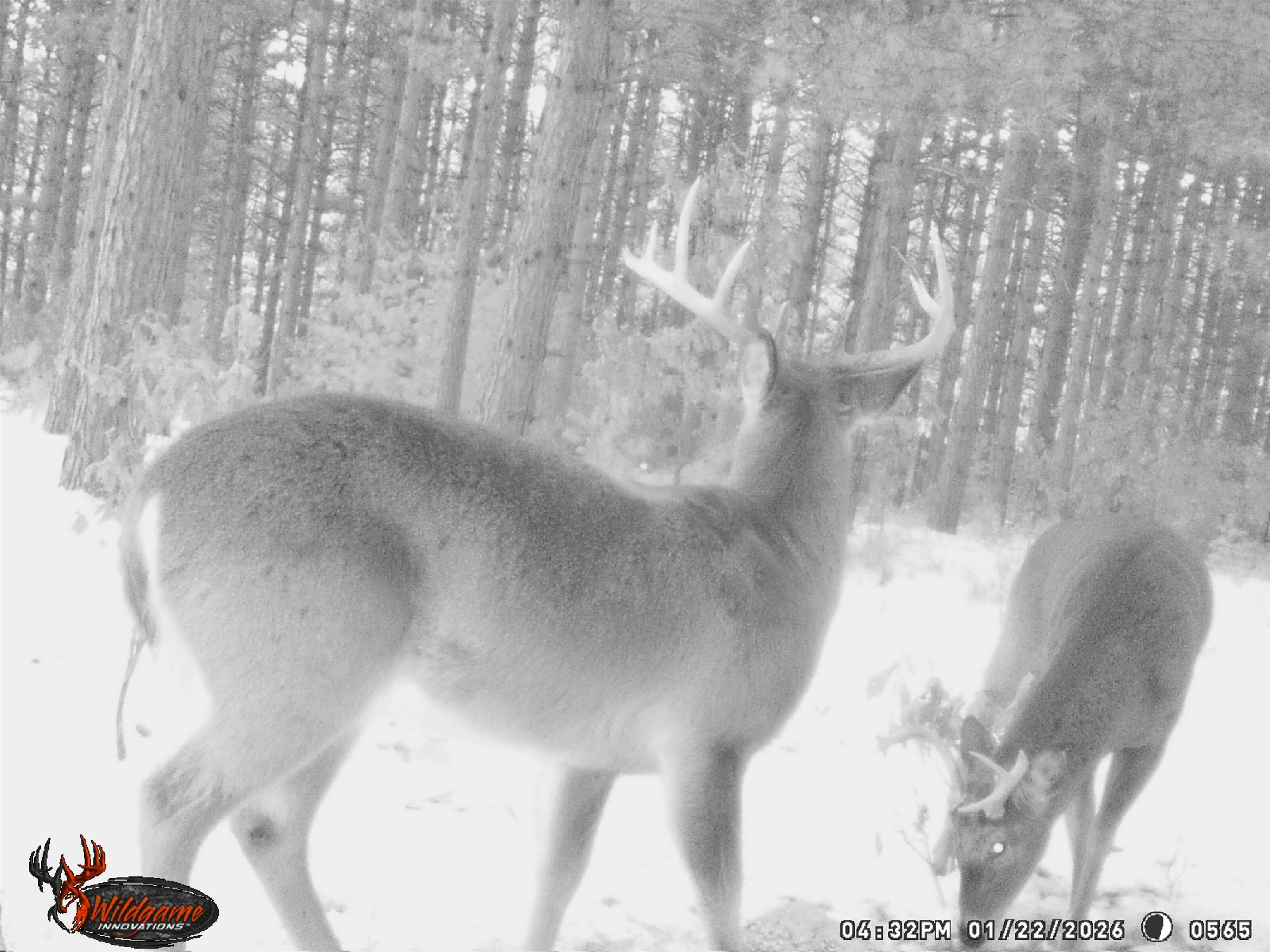 78.75-acres County Rd K Wisconsin Dells, WI 53965 - Photo 23 of 27