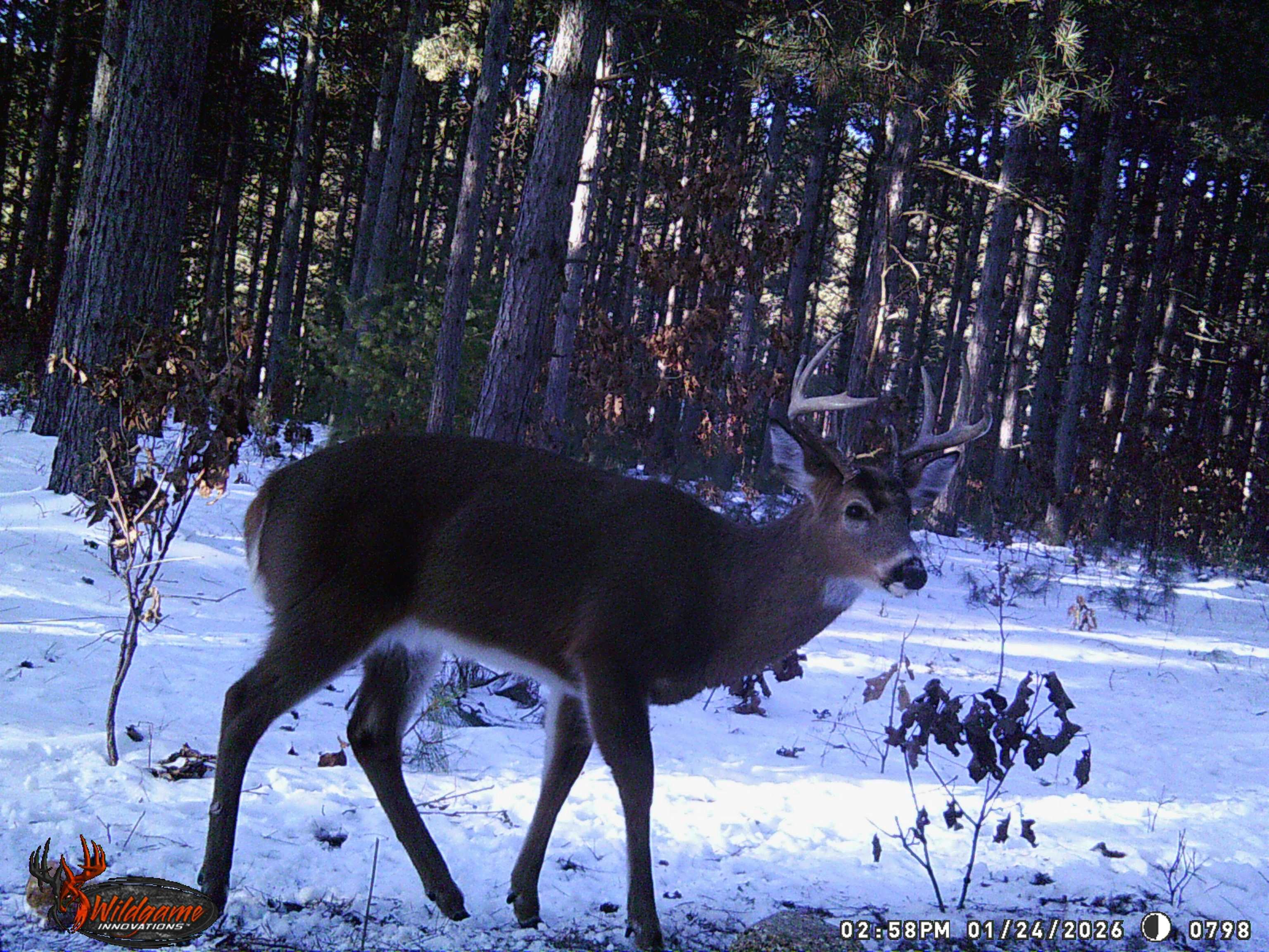 78.75-acres County Rd K Wisconsin Dells, WI 53965 - Photo 24 of 27