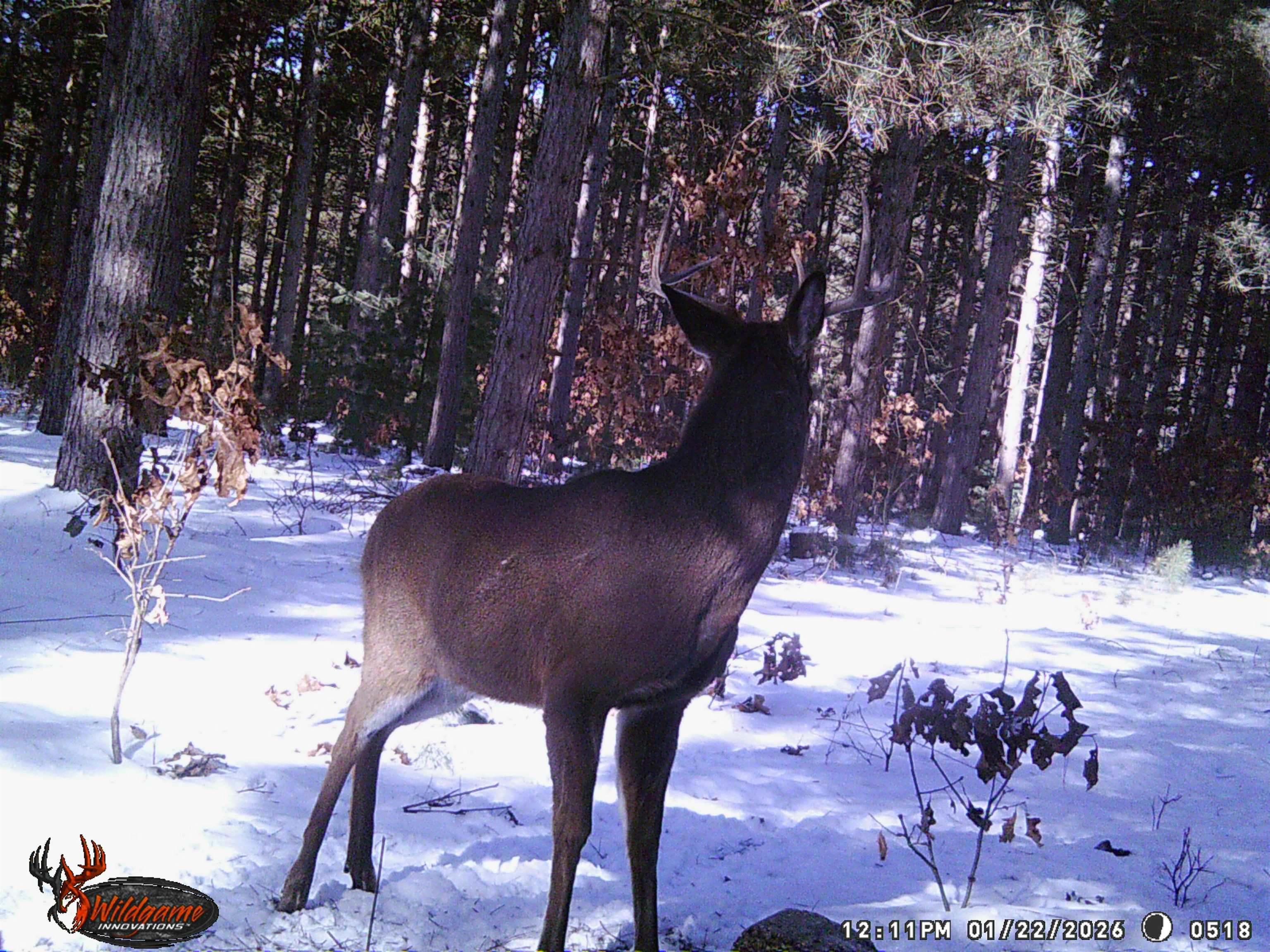 78.75-acres County Rd K Wisconsin Dells, WI 53965 - Photo 25 of 27