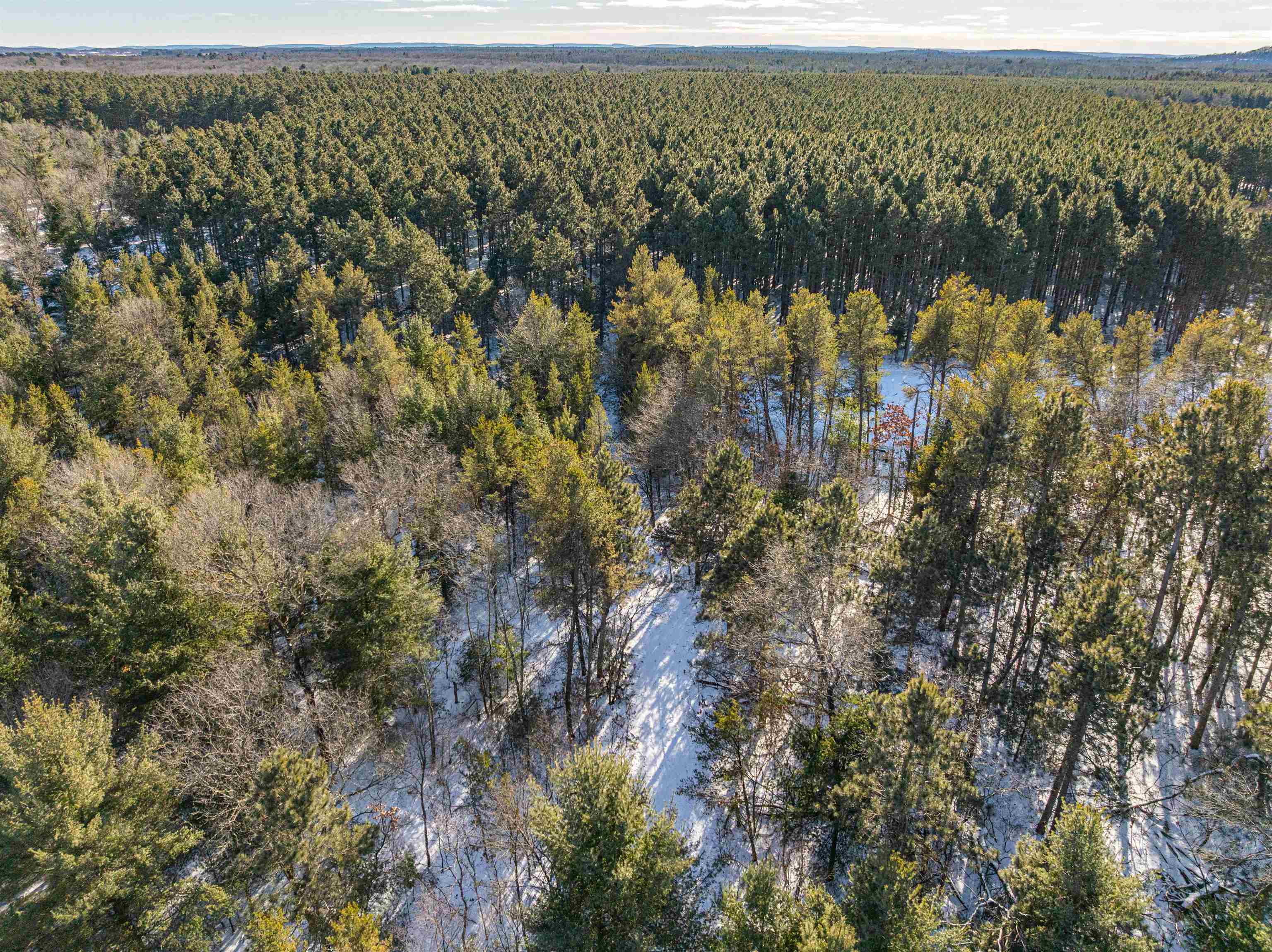 78.75-acres County Rd K Wisconsin Dells, WI 53965 - Photo 5 of 27