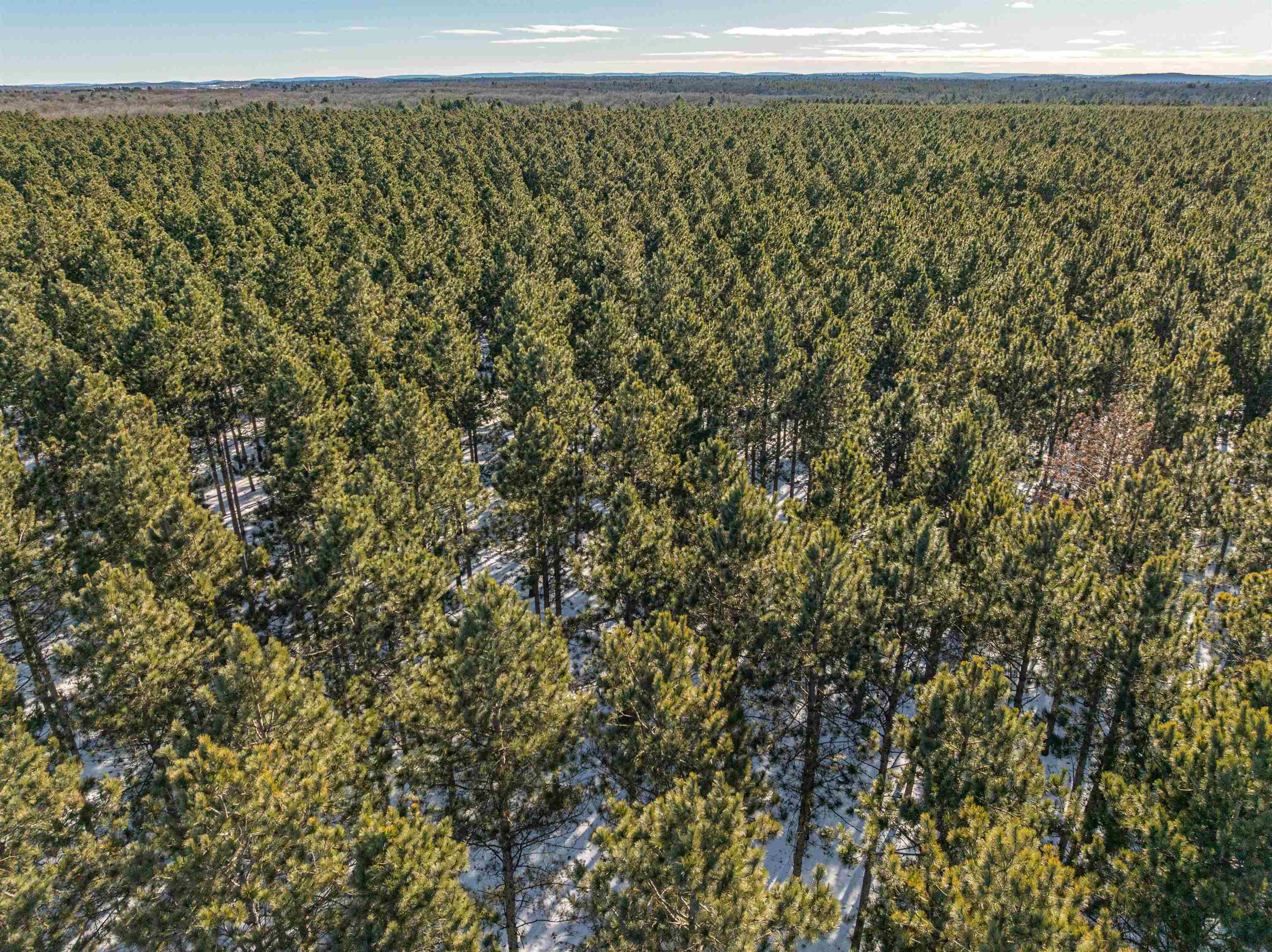 78.75-acres County Rd K Wisconsin Dells, WI 53965 - Photo 6 of 27