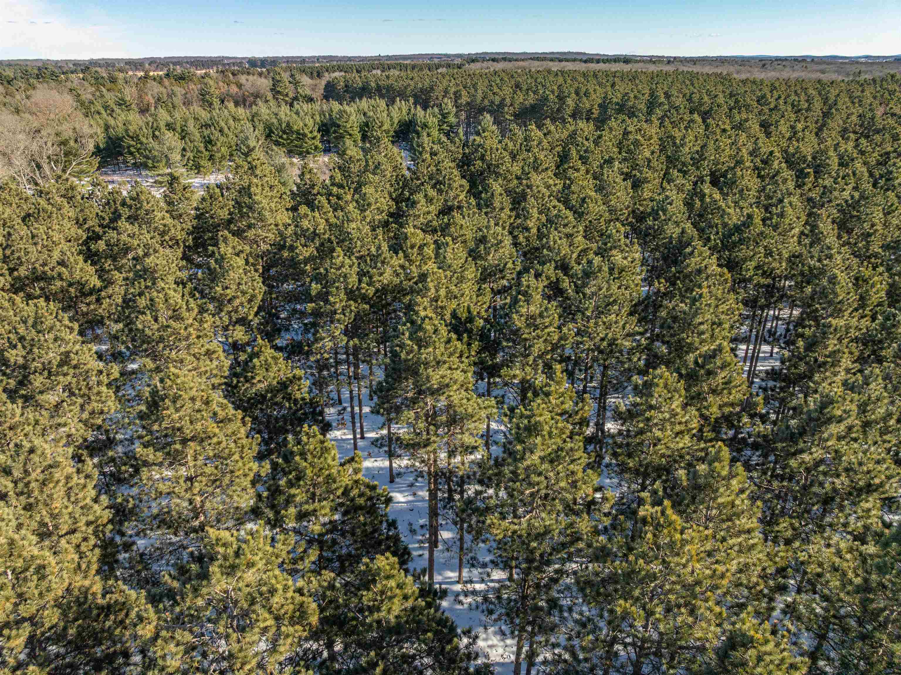 78.75-acres County Rd K Wisconsin Dells, WI 53965 - Photo 7 of 27