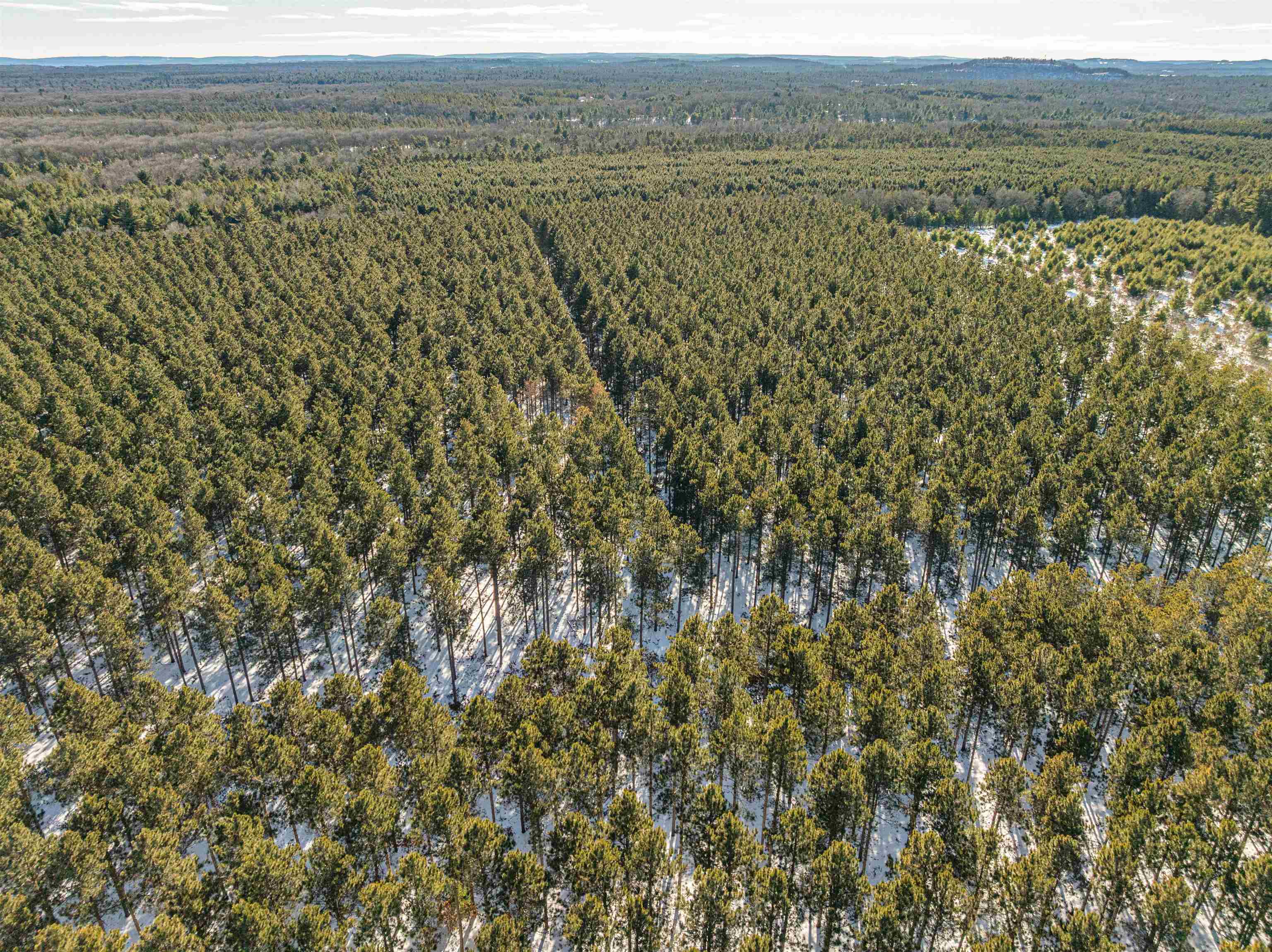 78.75-acres County Rd K Wisconsin Dells, WI 53965 - Photo 9 of 27
