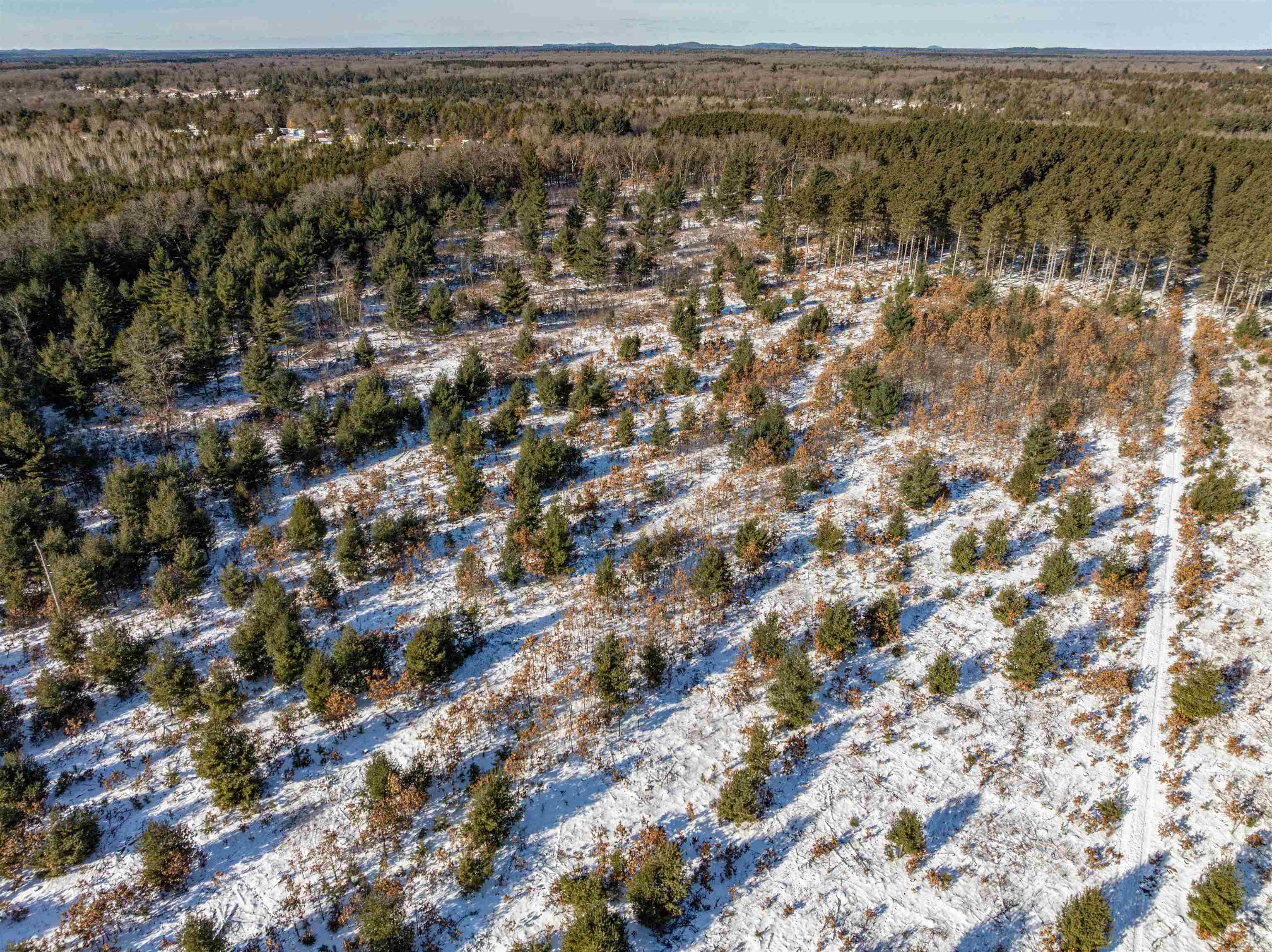78.75-acres County Rd K Wisconsin Dells, WI 53965 - Photo 10 of 27