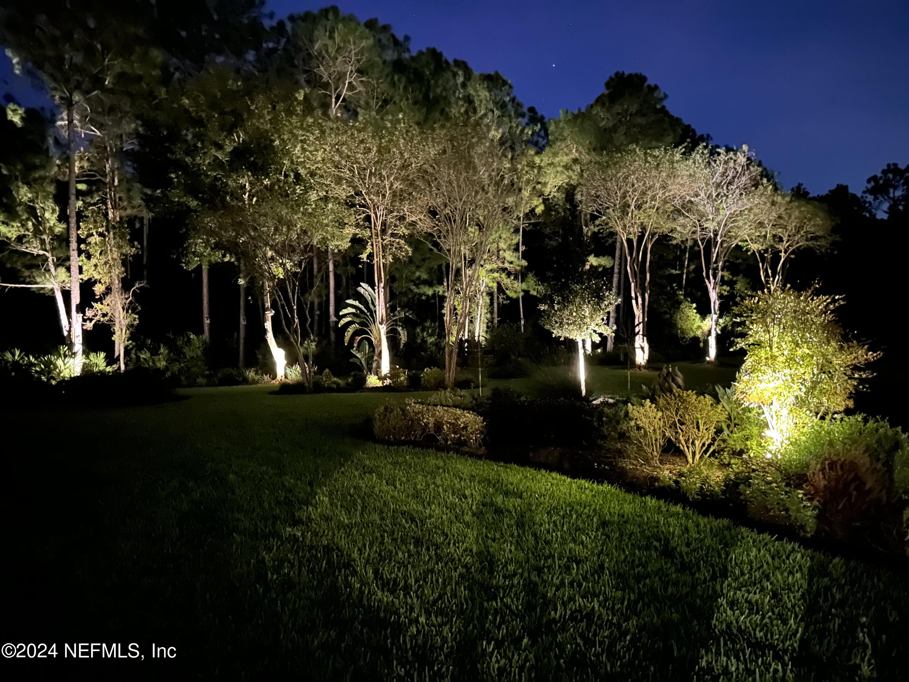 270 Holland Drive St. Augustine, FL 32095 - Photo 38 of 60 Uplighting in backyard