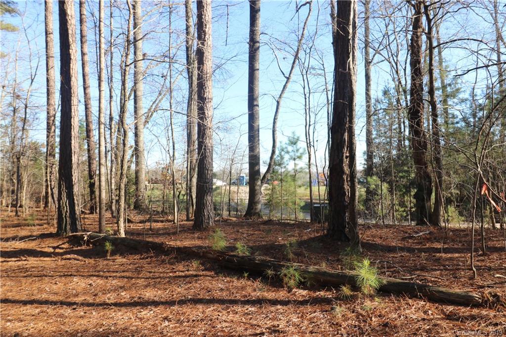 1146 Sutton Spring Road, Unit F York, SC 29745 - Photo 2 of 5