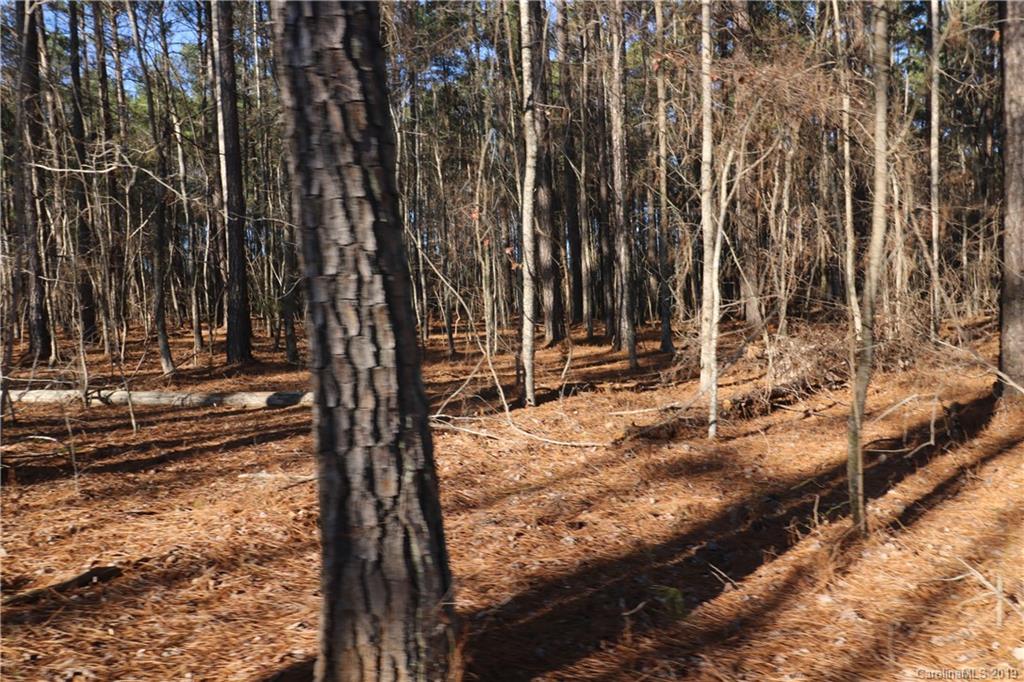 1146 Sutton Spring Road, Unit F York, SC 29745 - Photo 3 of 5