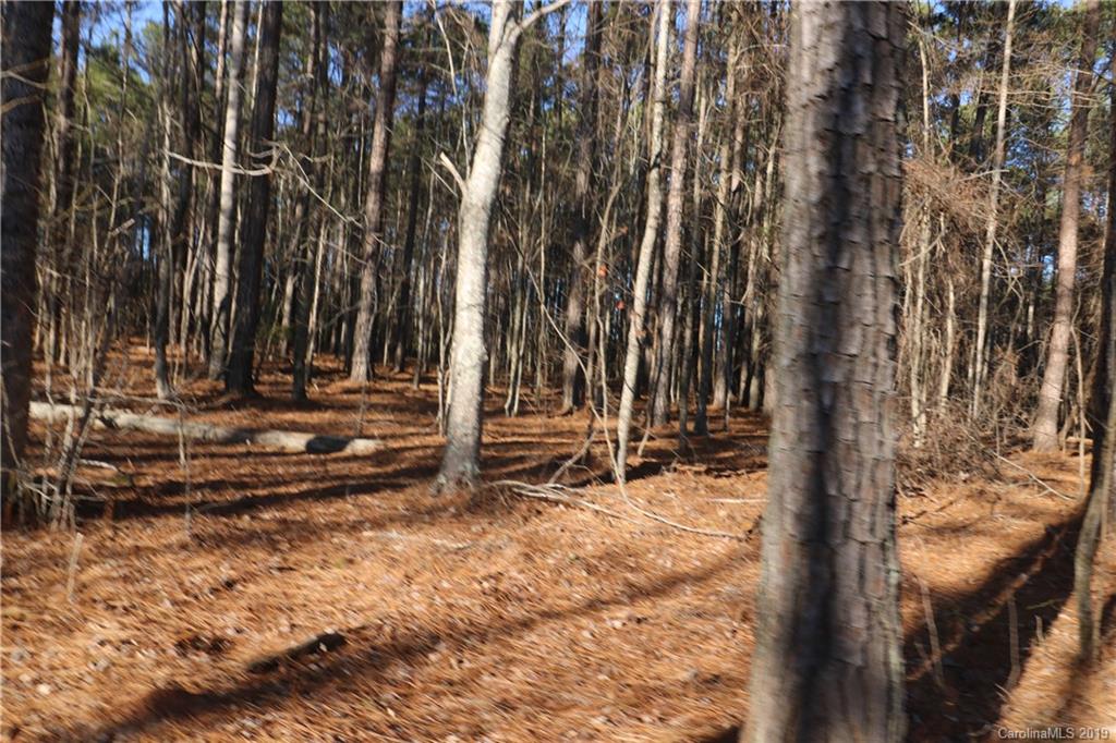 1146 Sutton Spring Road, Unit F York, SC 29745 - Photo 4 of 5