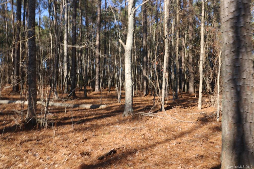 1146 Sutton Spring Road, Unit F York, SC 29745 - Photo 5 of 5