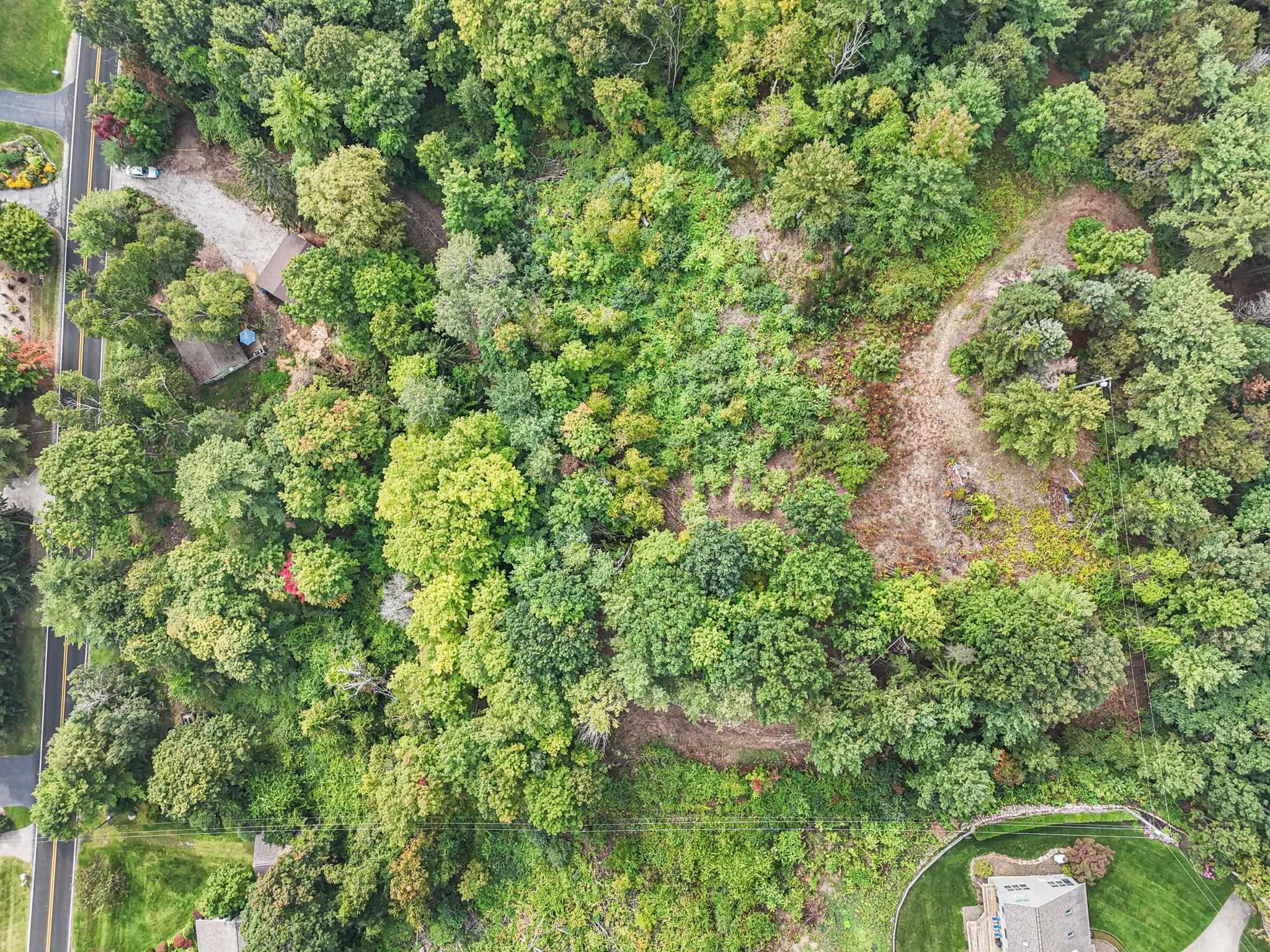 0 Bluff Road Traverse City, MI 49686 - Photo 16 of 27 Gallery Image 16