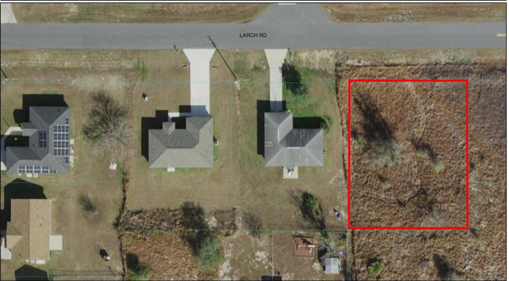 Tbd Larch Road Ocala, FL 34480 - Photo 1 of 1 Gallery Image 1