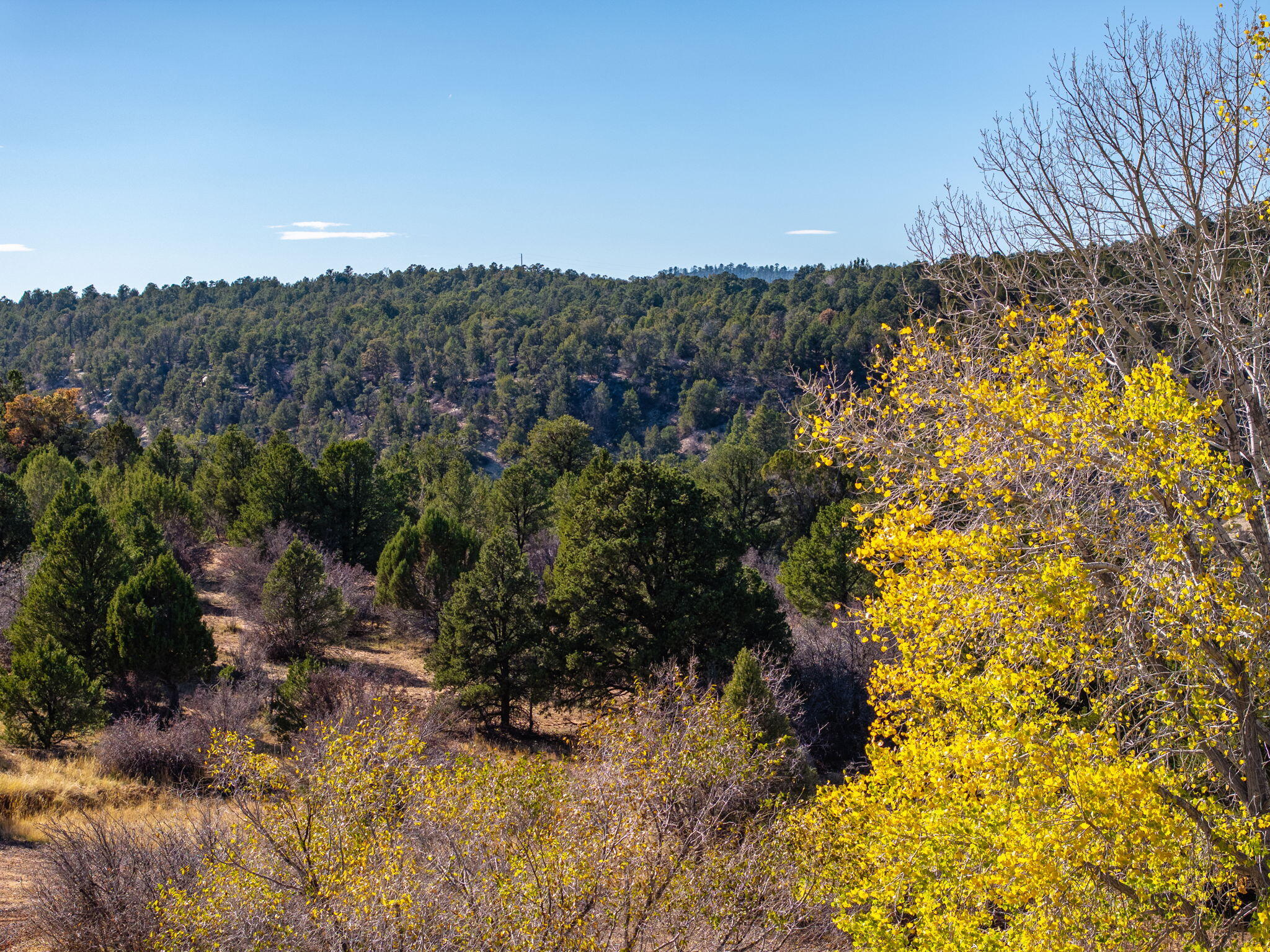 6 South N Frk Road, Unit SERIES 4) Orderville, UT 84758 - Photo 57 of 79 58-web-or-mls- S North Fork Rd. Ordervil