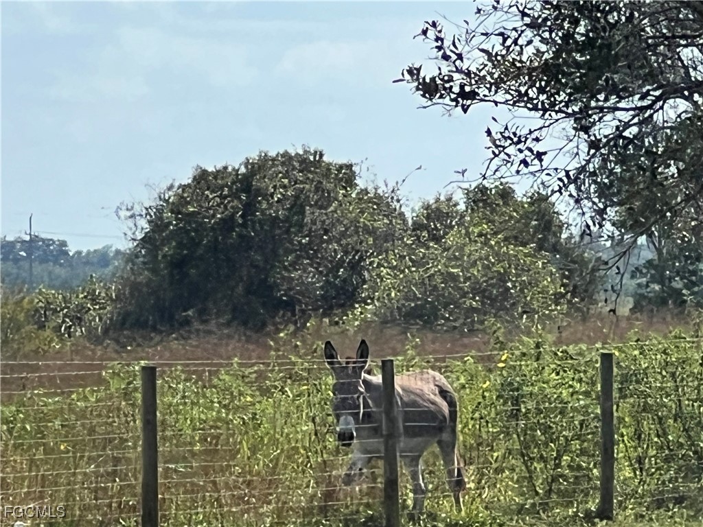 1665 Pollywog Crossover Road LaBelle, FL 33935 - Photo 4 of 6