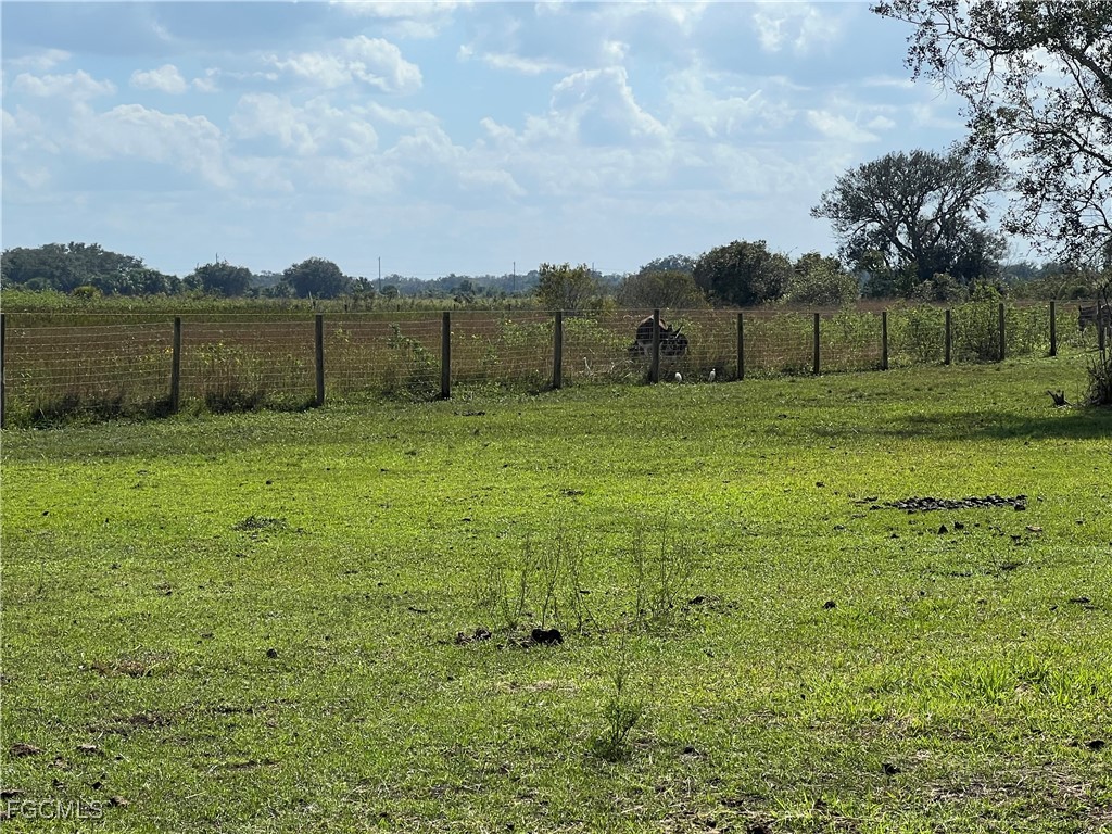 1665 Pollywog Crossover Road LaBelle, FL 33935 - Photo 5 of 6 a view of a field with a tree in it