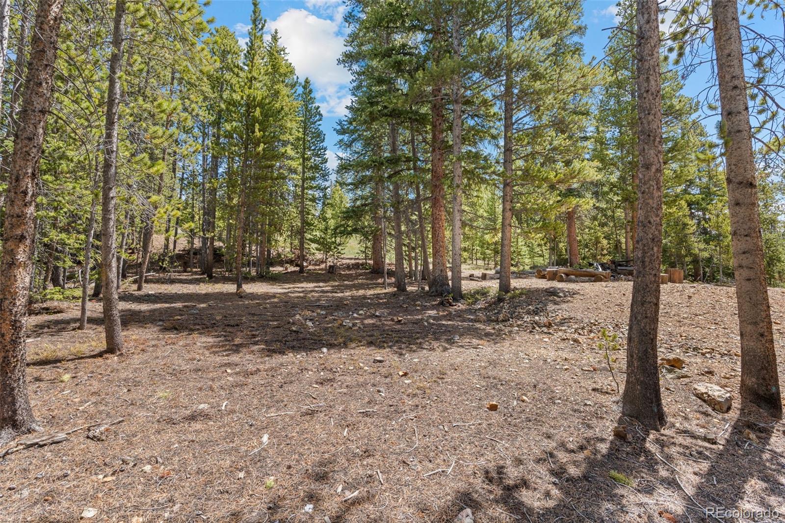92 Emmett Lode Road, Unit B Breckenridge, CO 80424 - Photo 44 of 50 a view of a road with trees