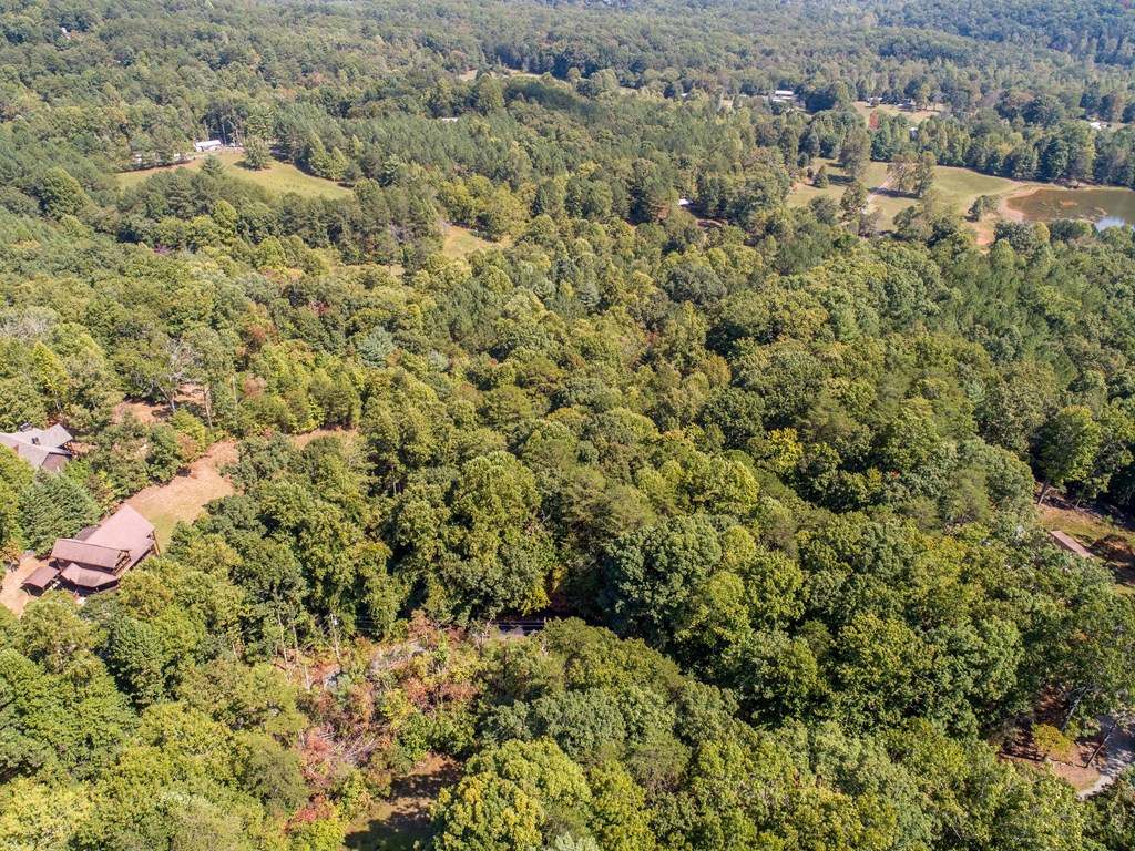 1003 Sun Rock Mountain Road Blue Ridge, GA 30513 - Photo 16 of 36