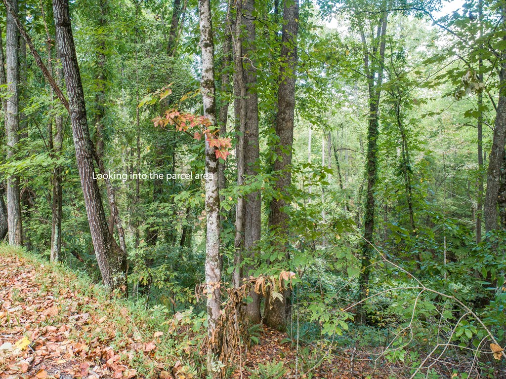 1003 Sun Rock Mountain Road Blue Ridge, GA 30513 - Photo 25 of 36