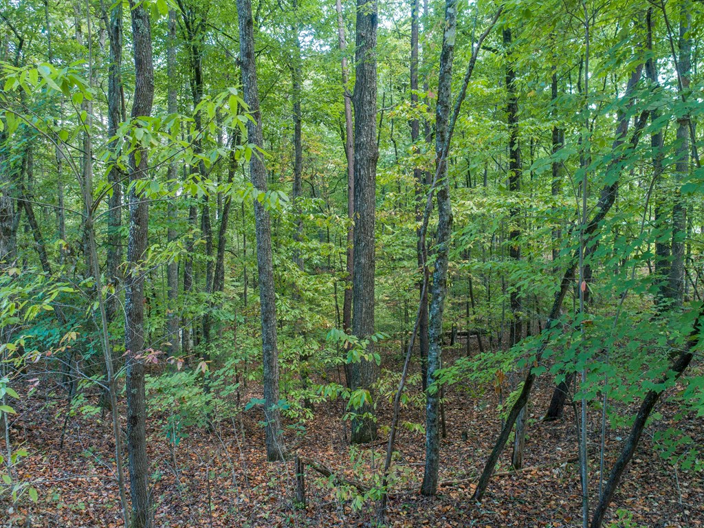 1003 Sun Rock Mountain Road Blue Ridge, GA 30513 - Photo 28 of 36