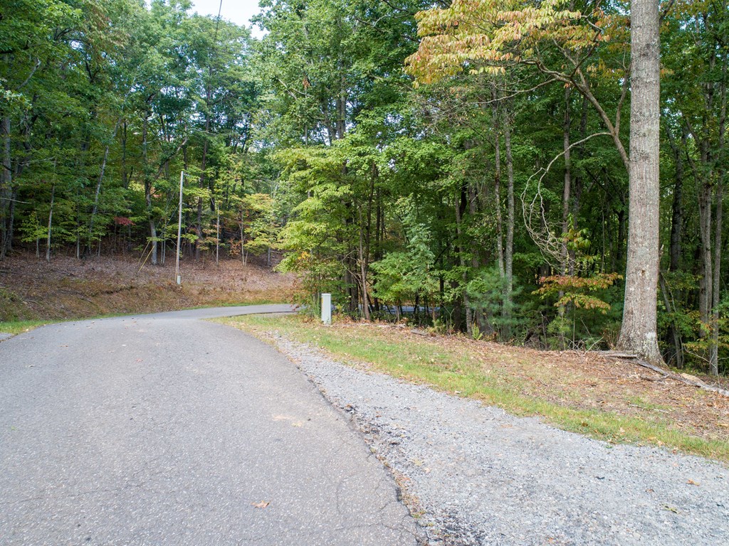 1003 Sun Rock Mountain Road Blue Ridge, GA 30513 - Photo 32 of 36
