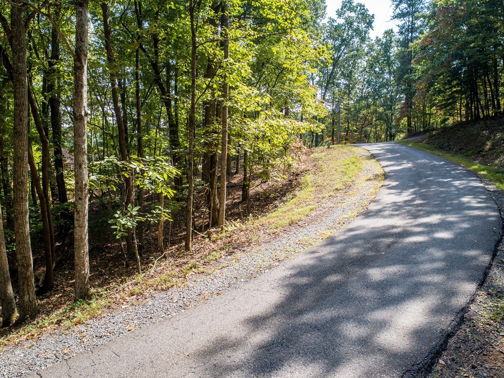 1003 Sun Rock Mountain Road Blue Ridge, GA 30513 - Photo 34 of 36