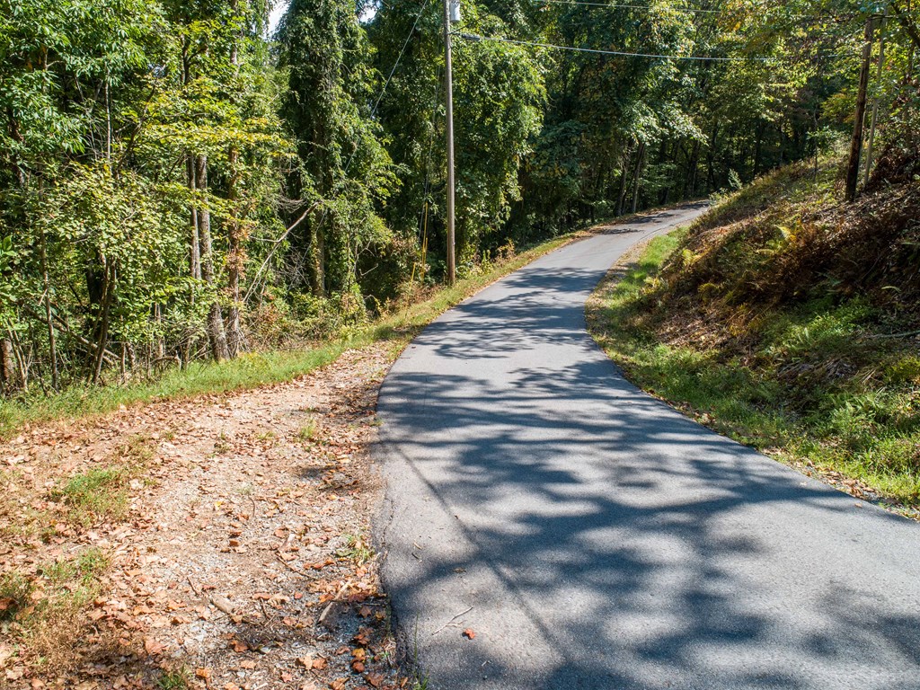 1003 Sun Rock Mountain Road Blue Ridge, GA 30513 - Photo 5 of 36